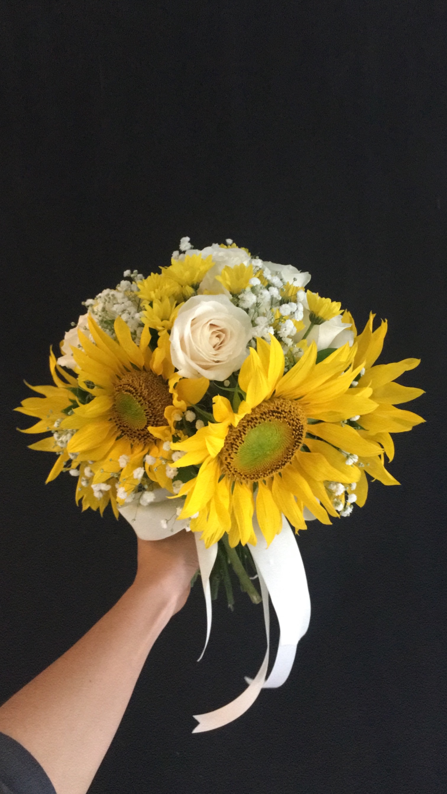 Sunflower HT Small