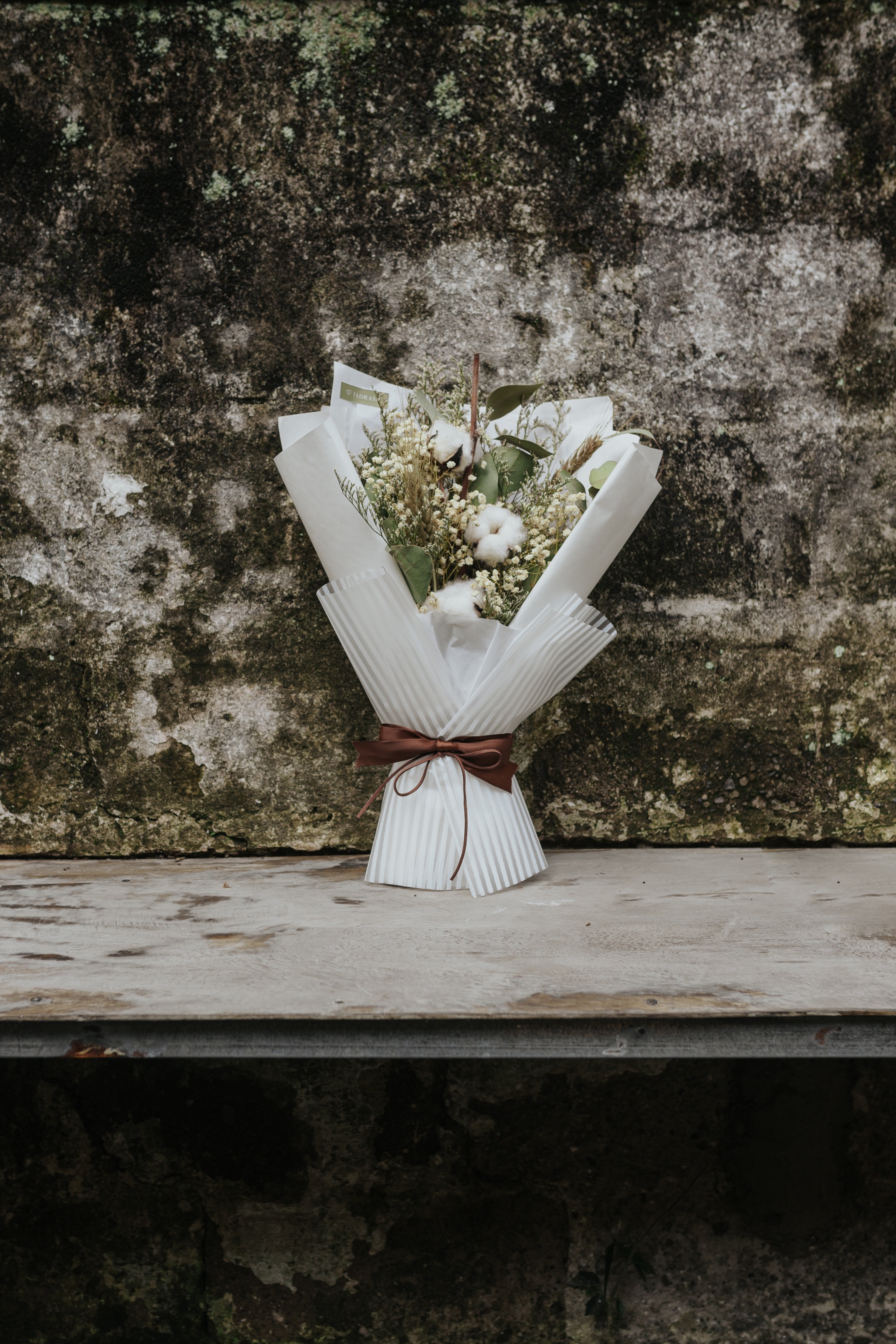 Cotton Populus HB Small White