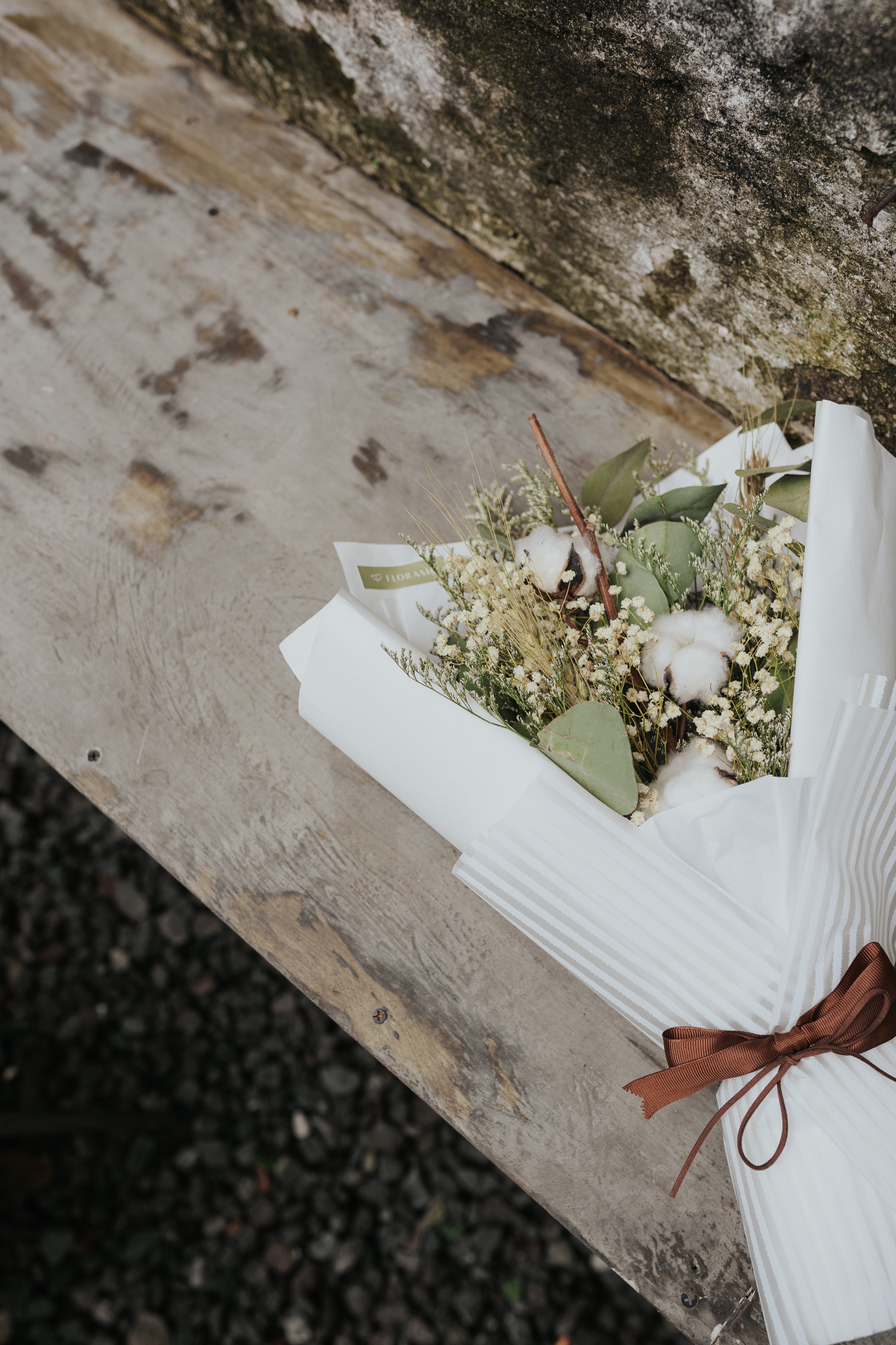 Cotton Populus HB Small White