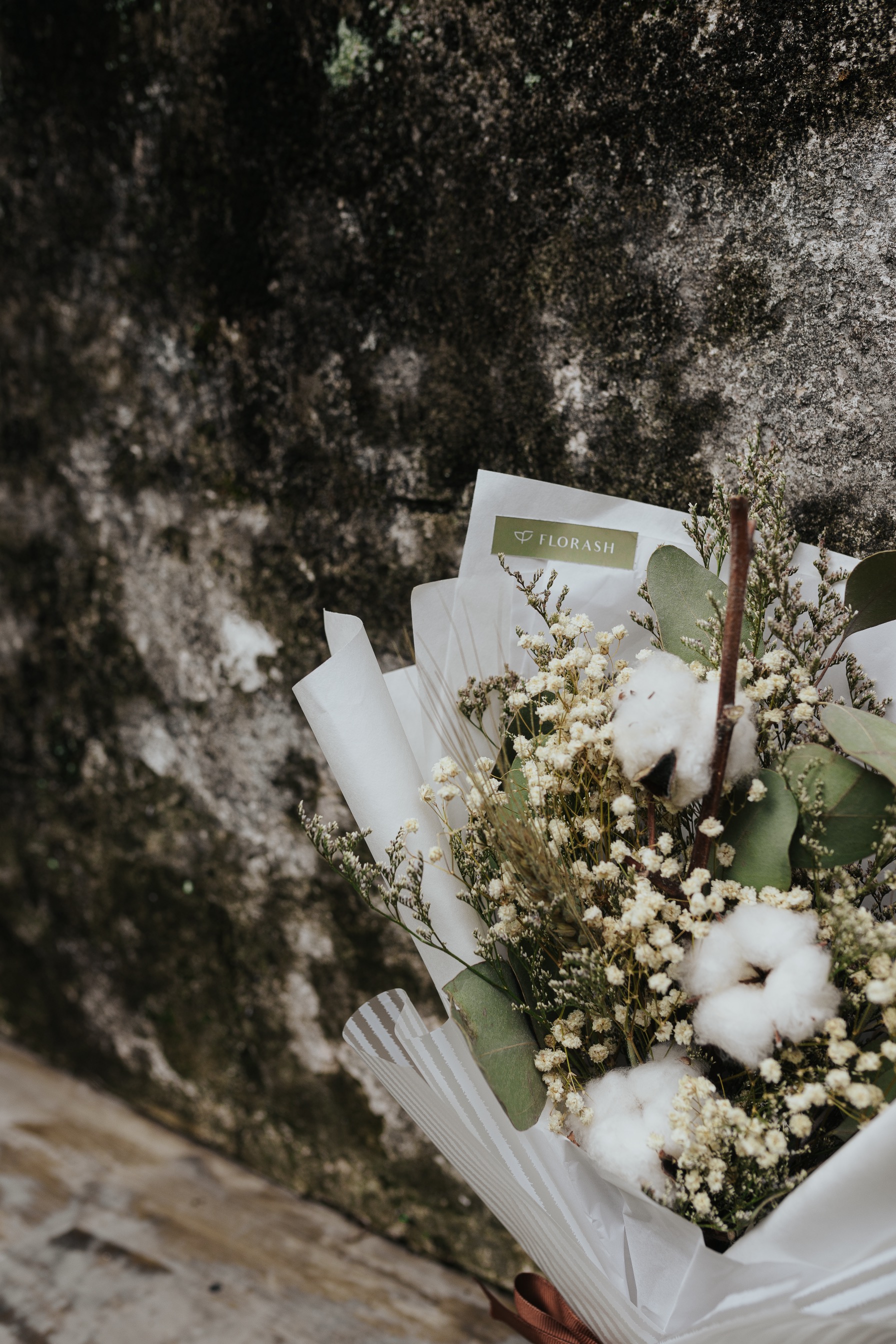 Cotton Populus HB Small White