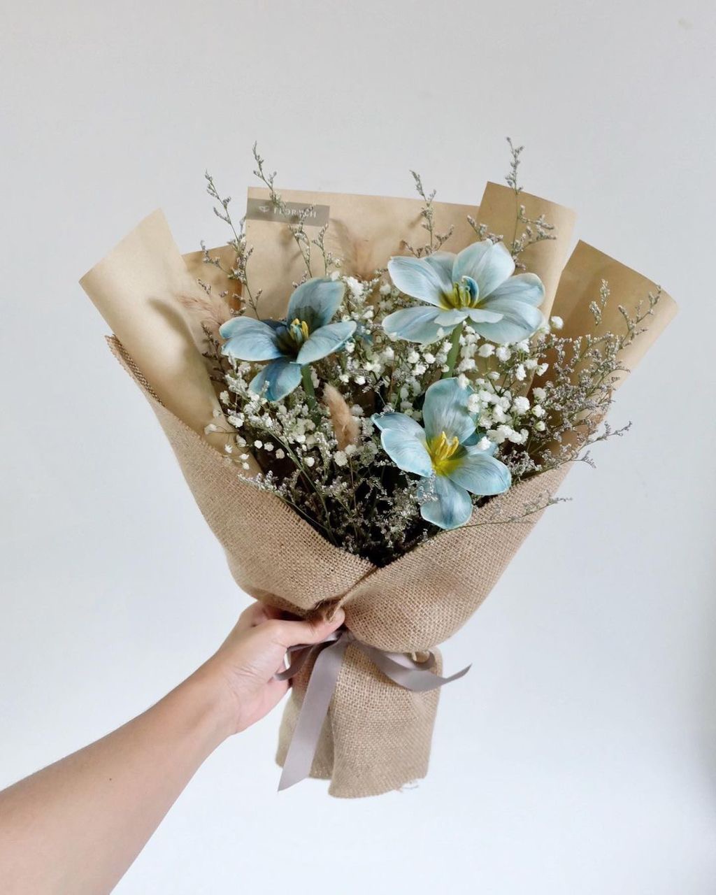 Baby Tulip HB Medium Blue