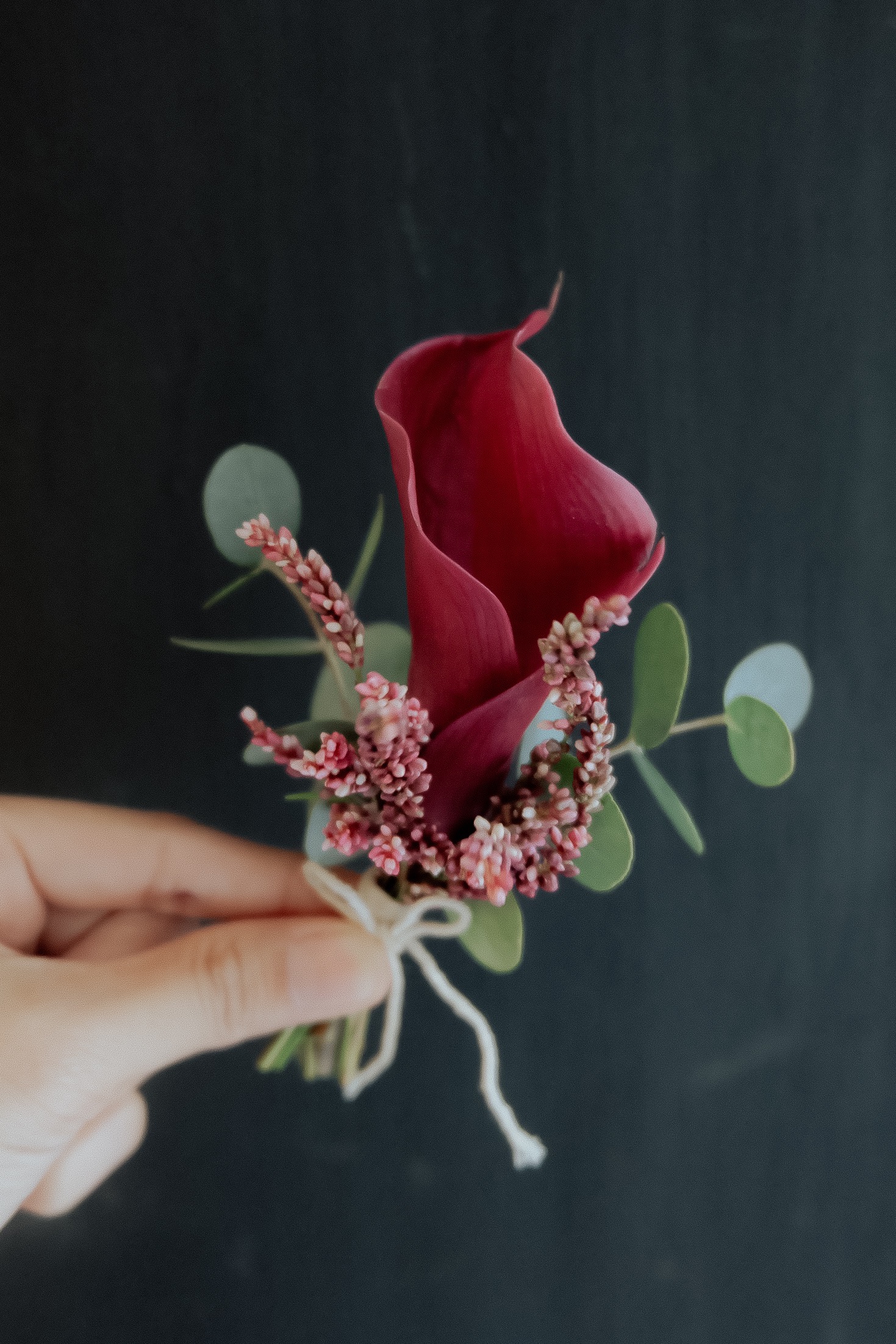 Rose Calla HT Red Medium