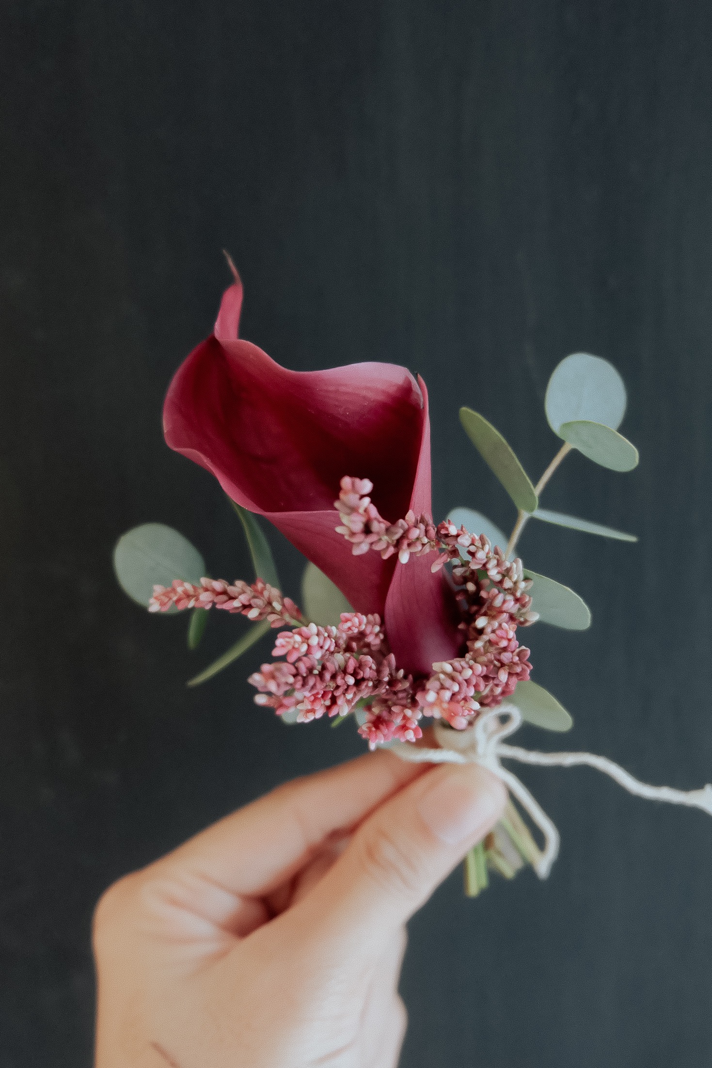 Rose Calla HT Red Medium