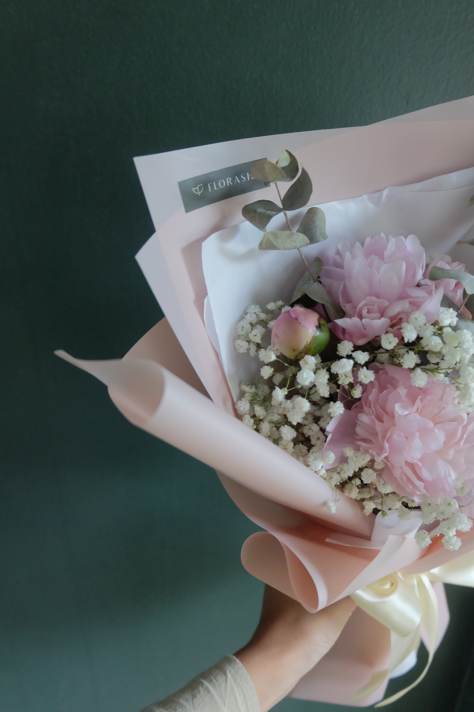 Peony Baby HB Medium