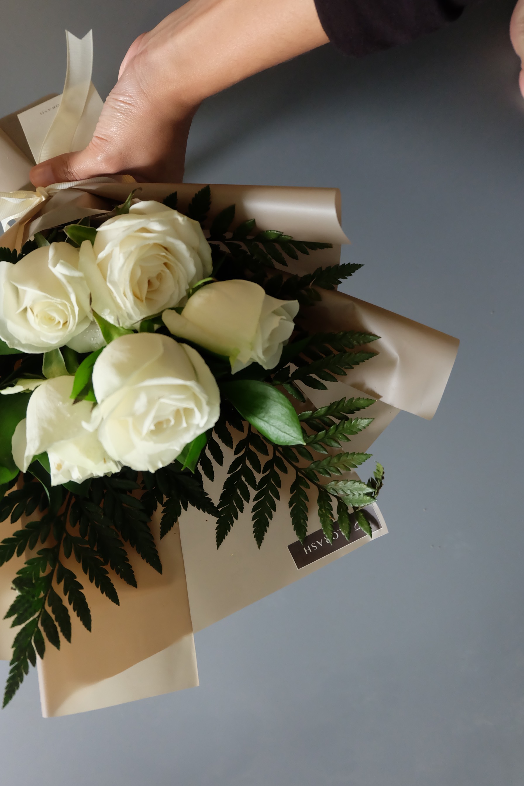 Rose HB Small White