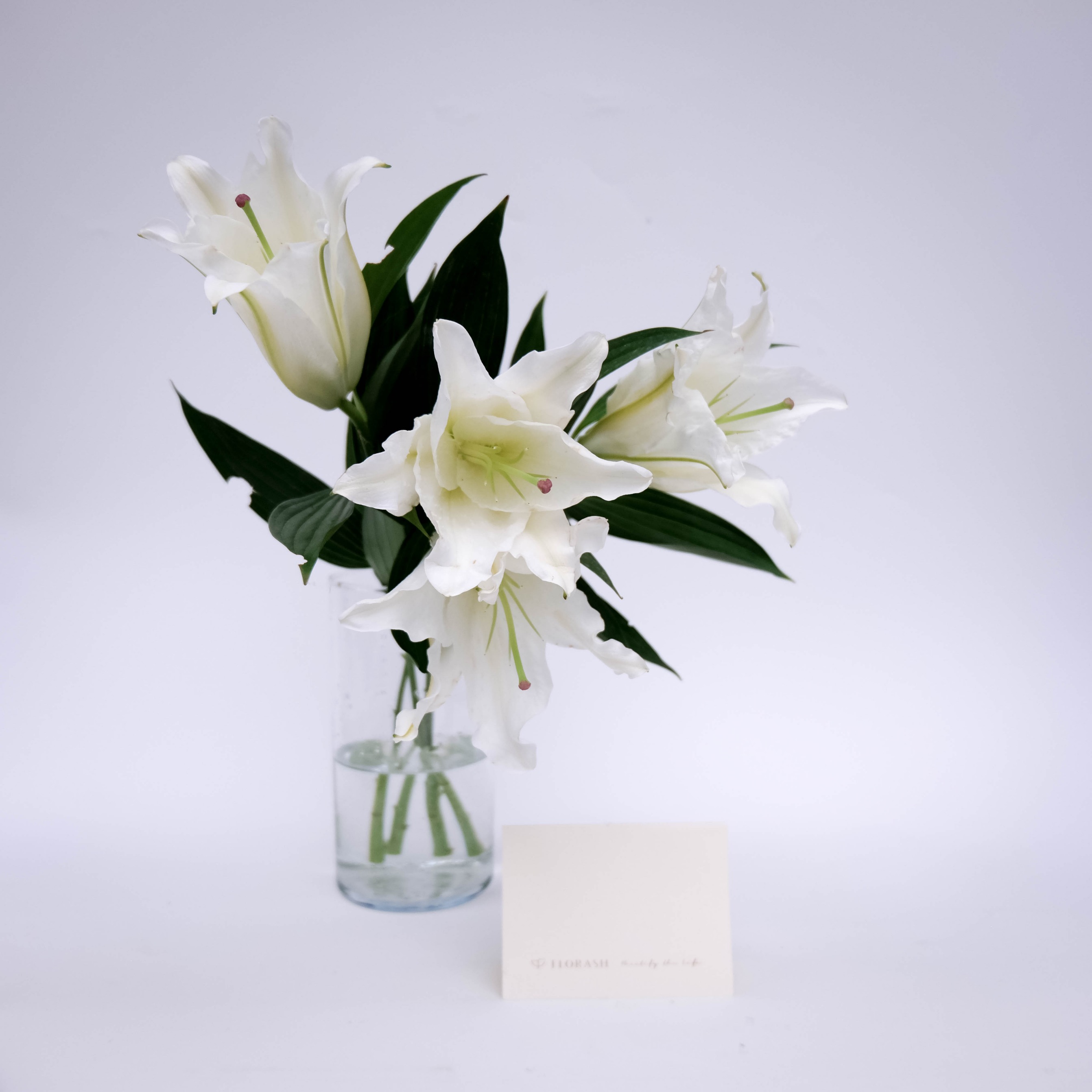 Lily Bunch White