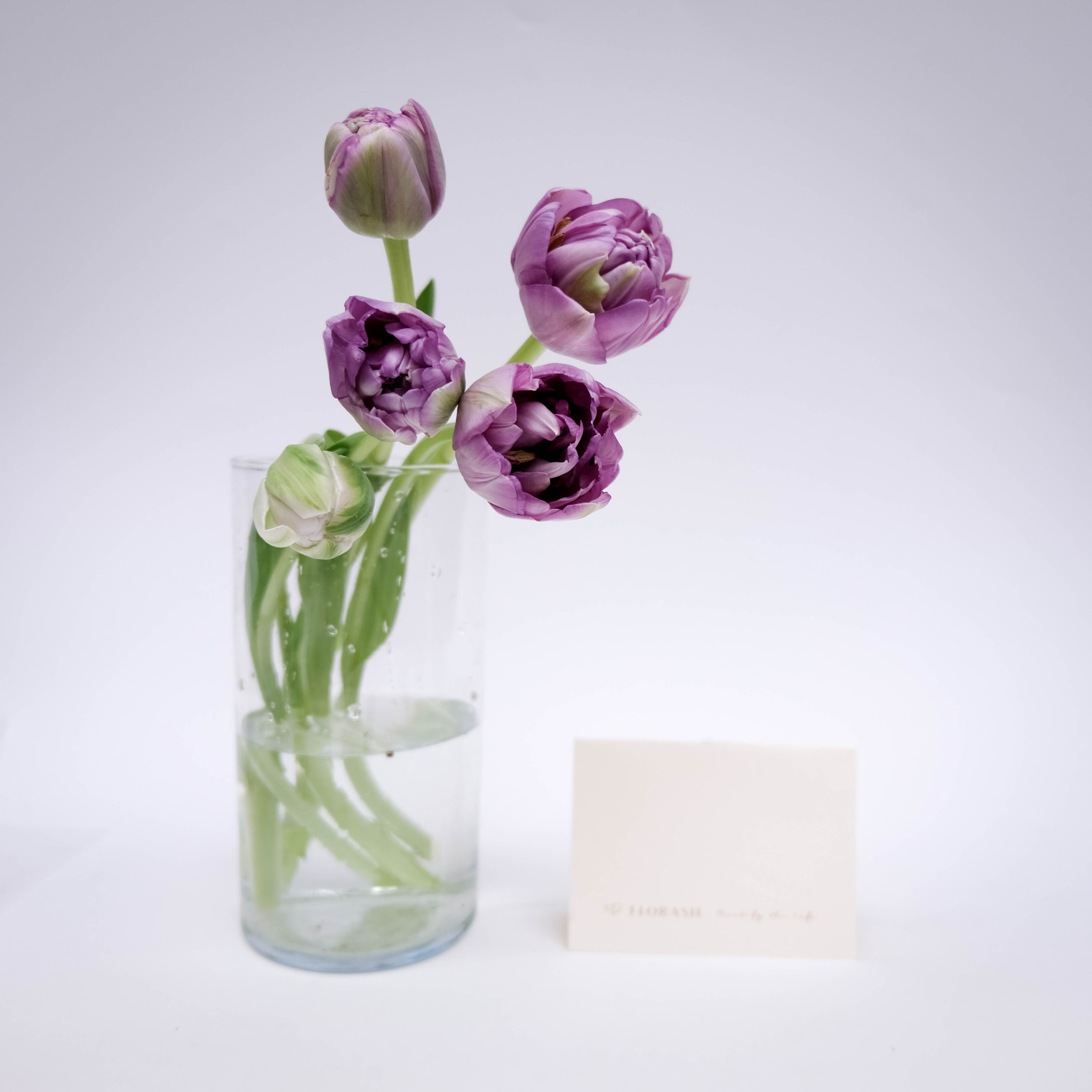 Tulip Bunch Purple