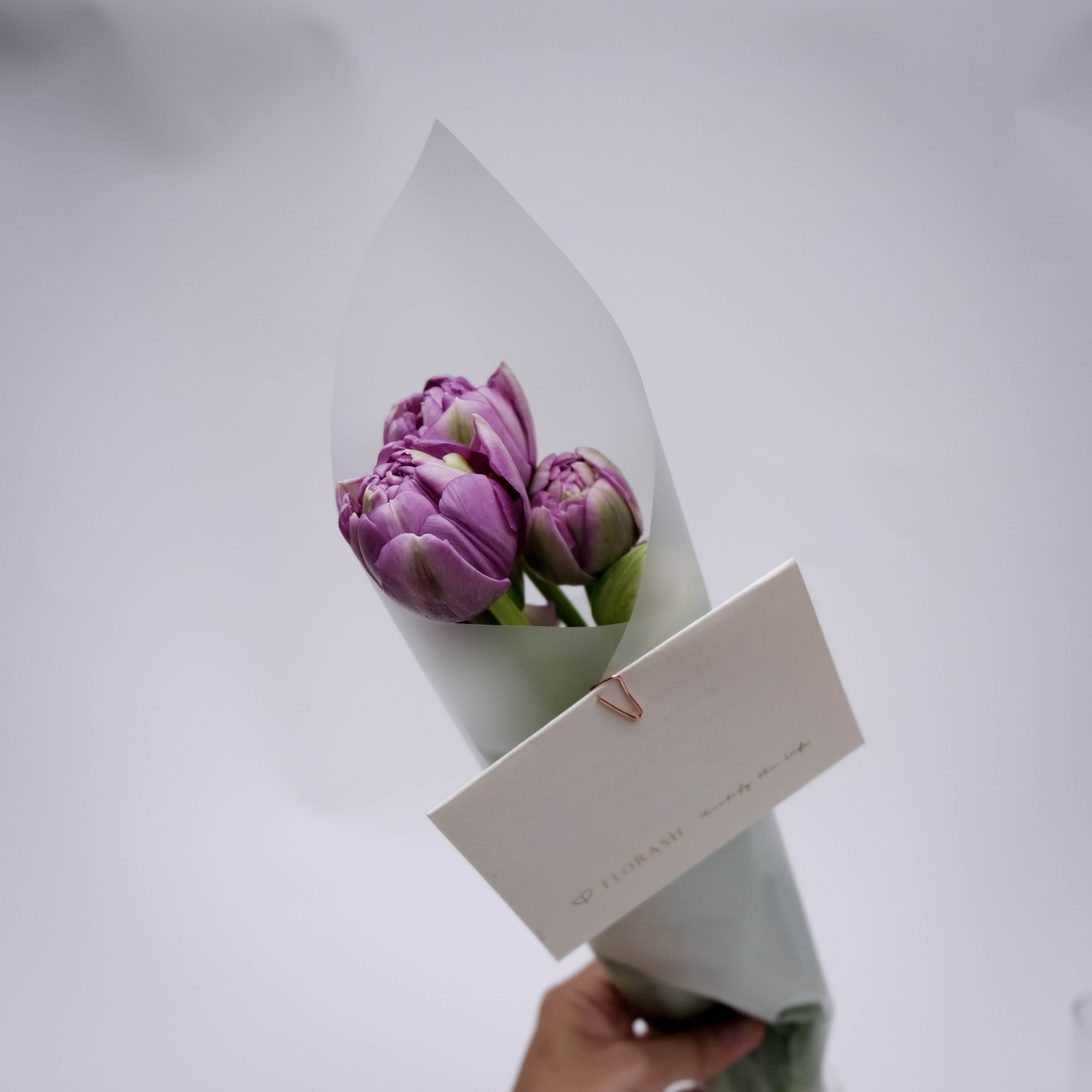 Tulip Bunch Purple