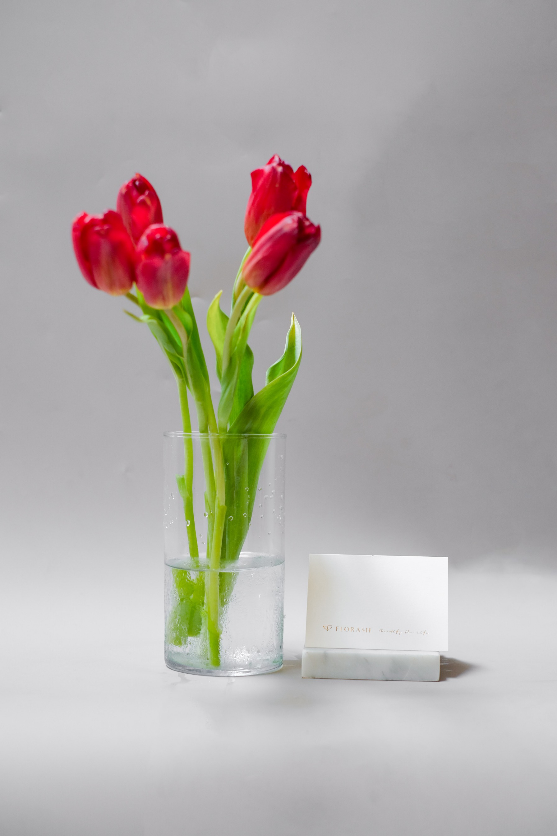 Tulip Bunch Red