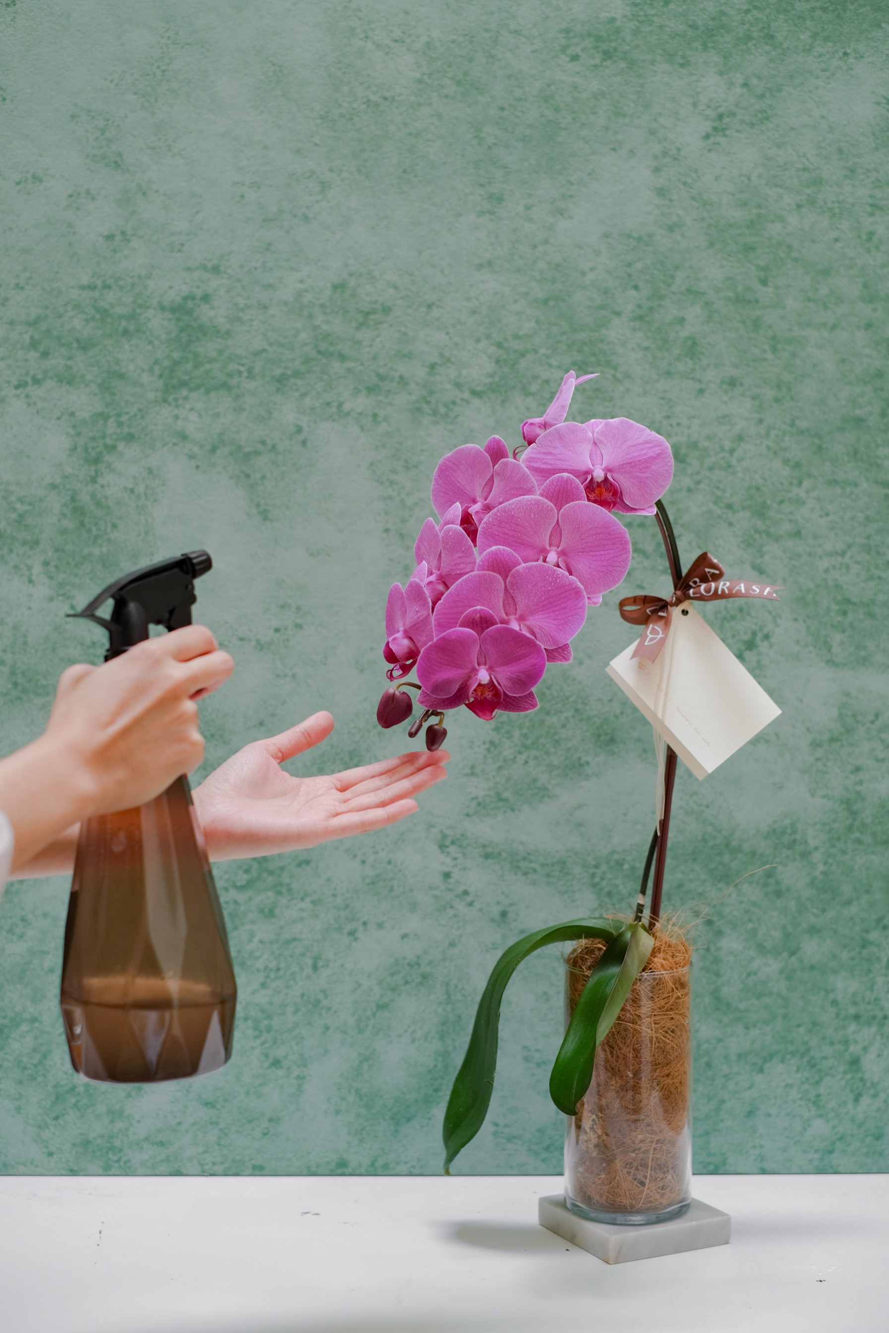 Orchid Vase Medium Pink