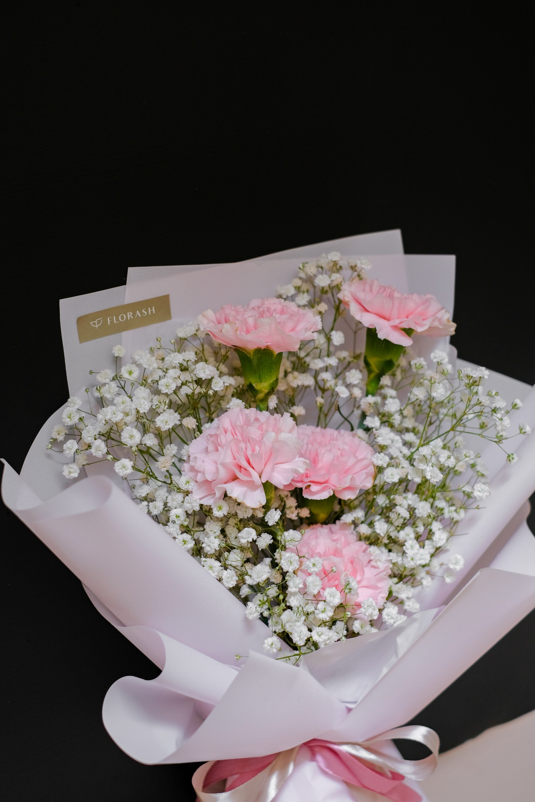 Dianthus HB Small Pink