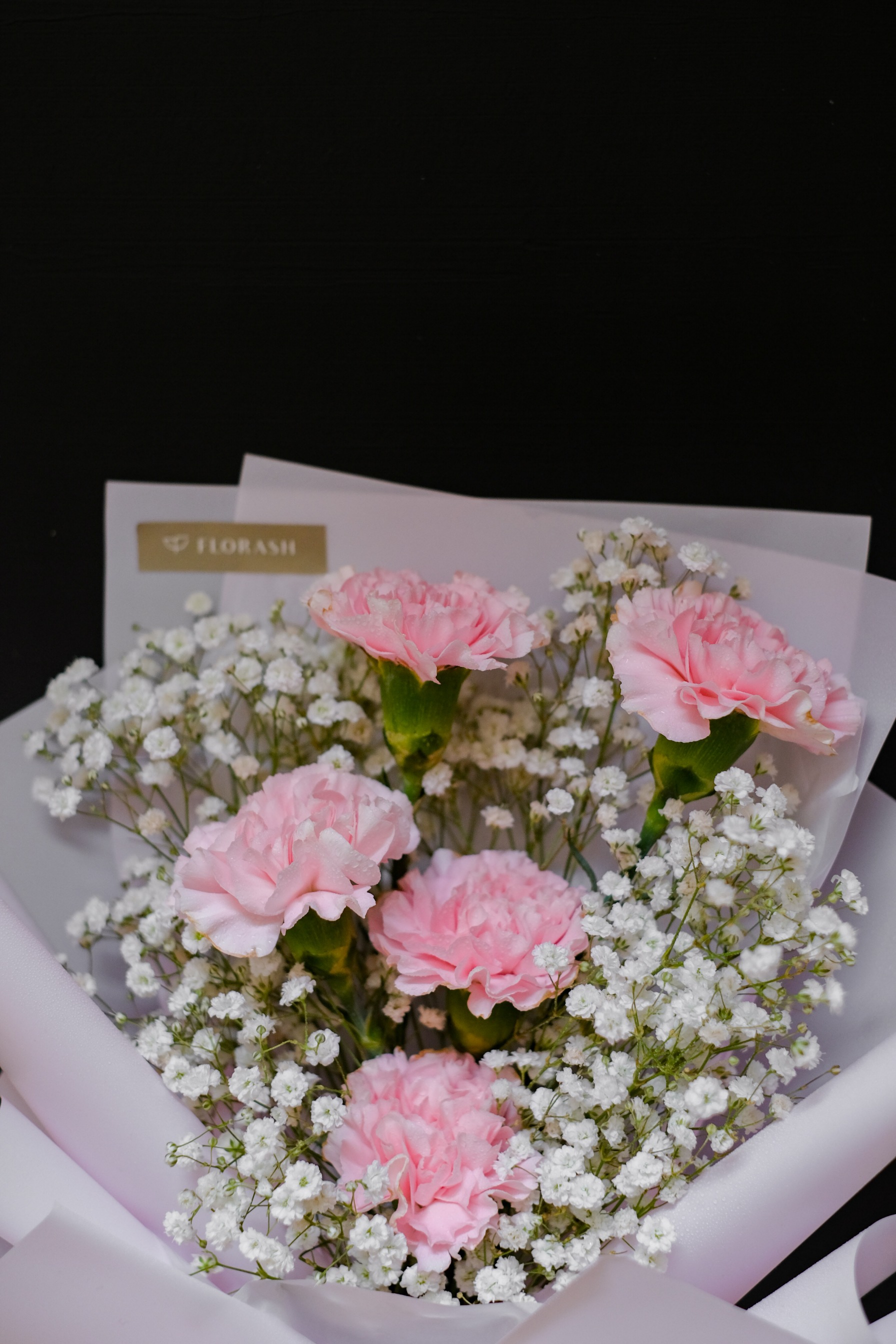 Dianthus HB Small Pink