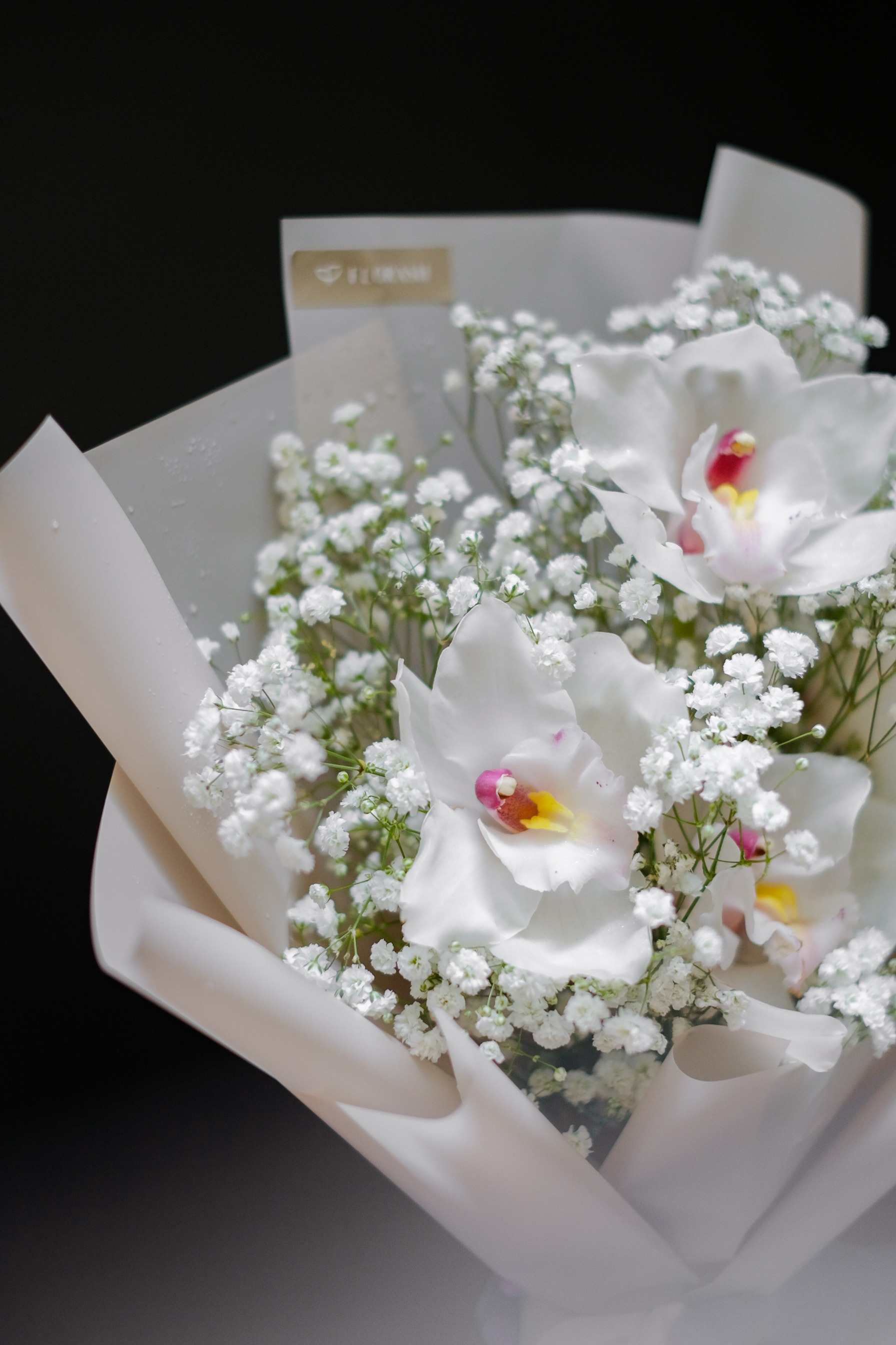 Cymbi Baby Hb Medium White