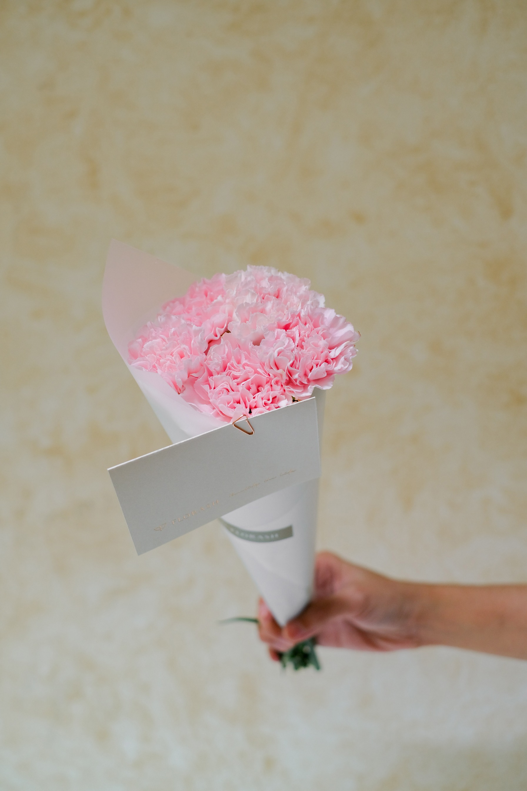Dianthus Bunch Pink