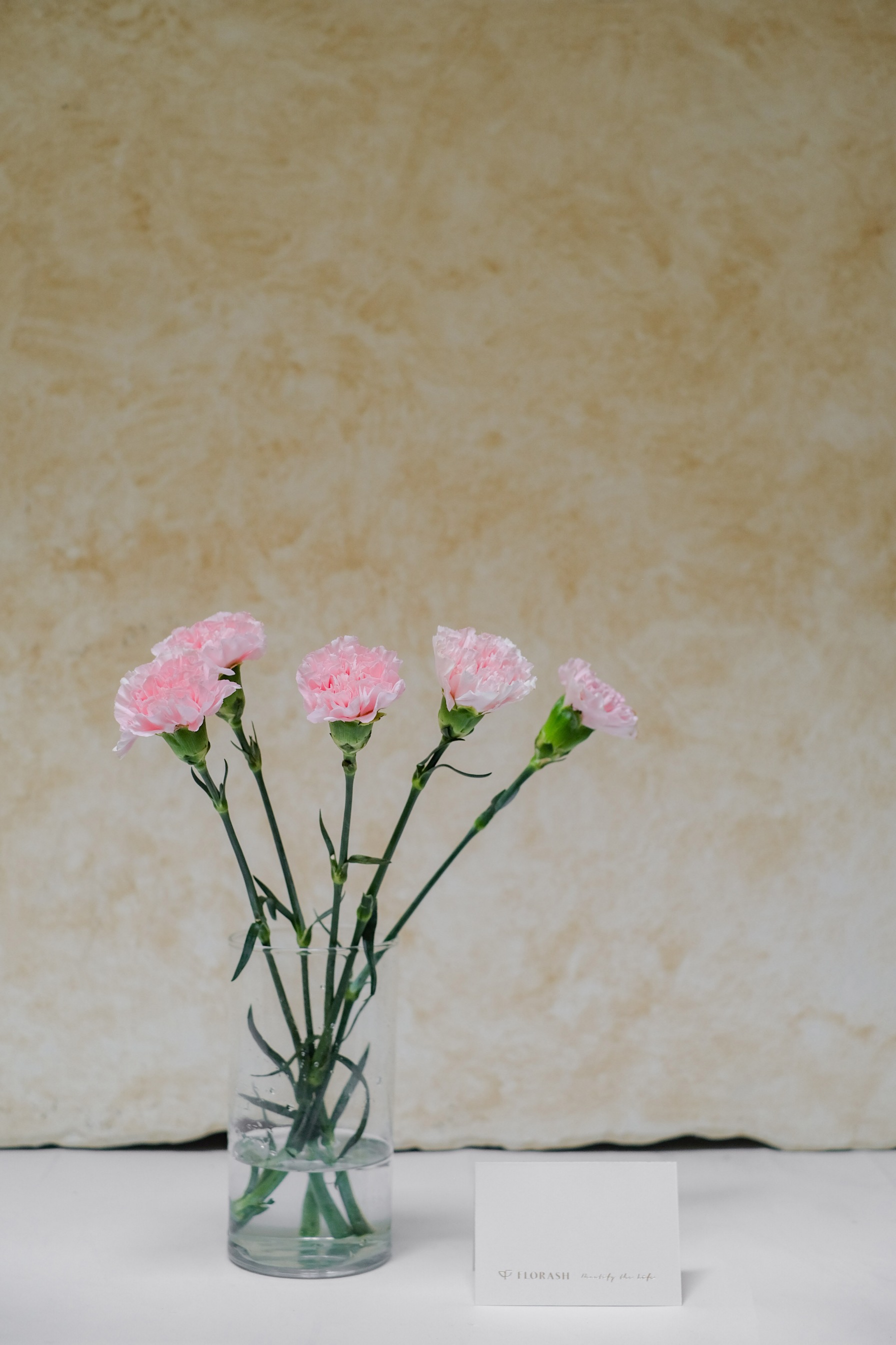 Dianthus Bunch Pink