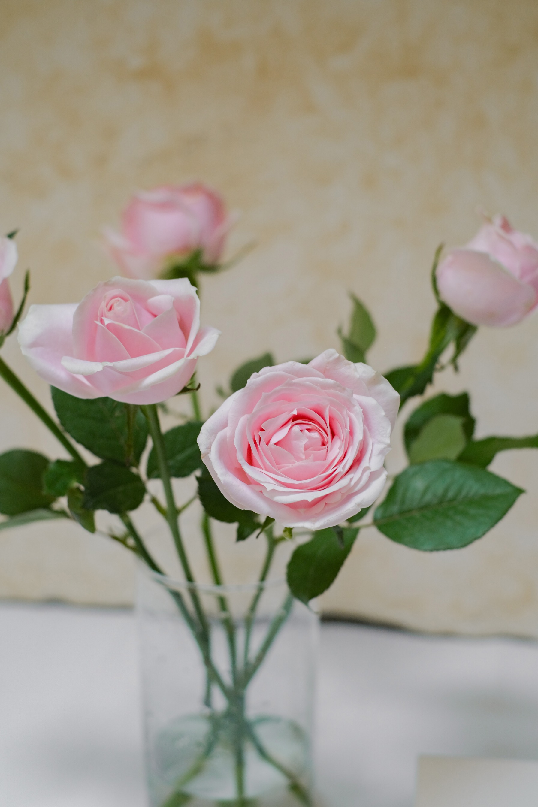 Rose Bunch Baby Pink
