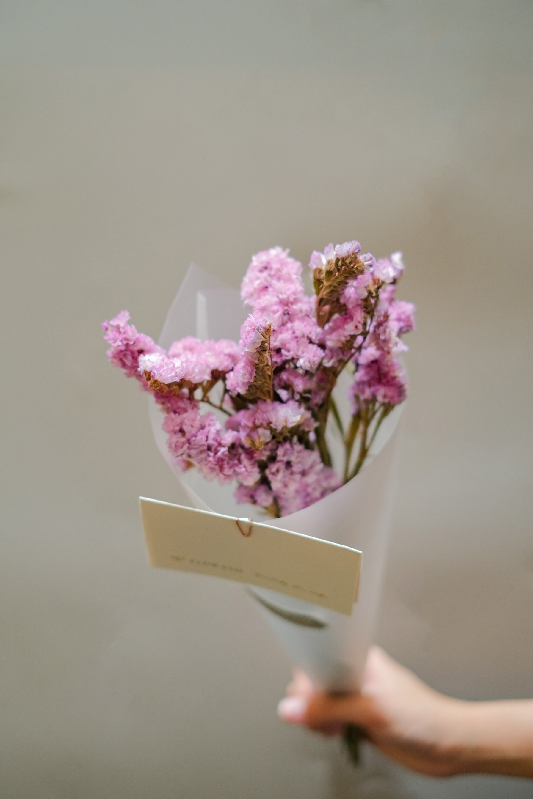 Statice Bunch Pink