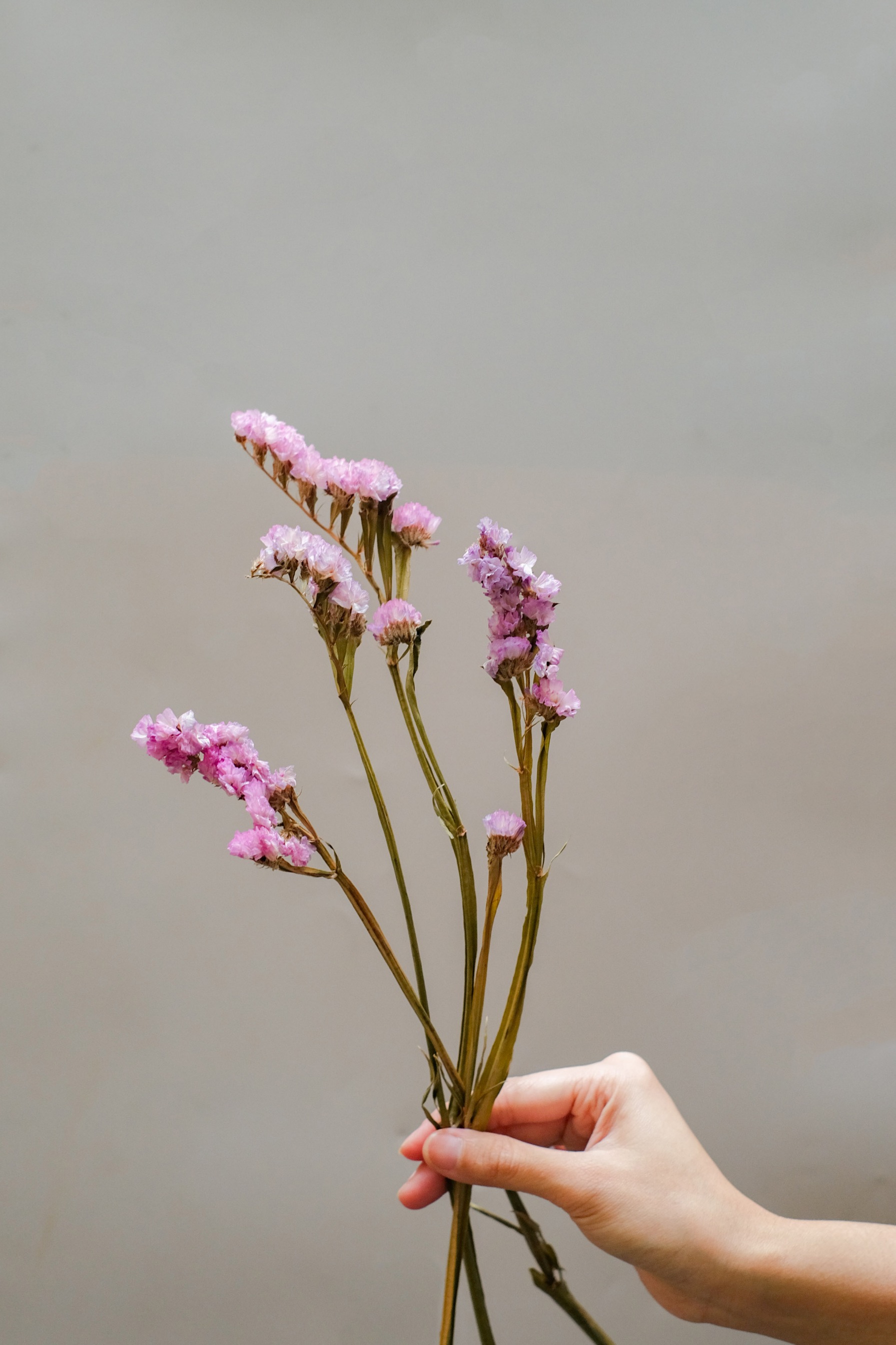 Statice Bunch Pink
