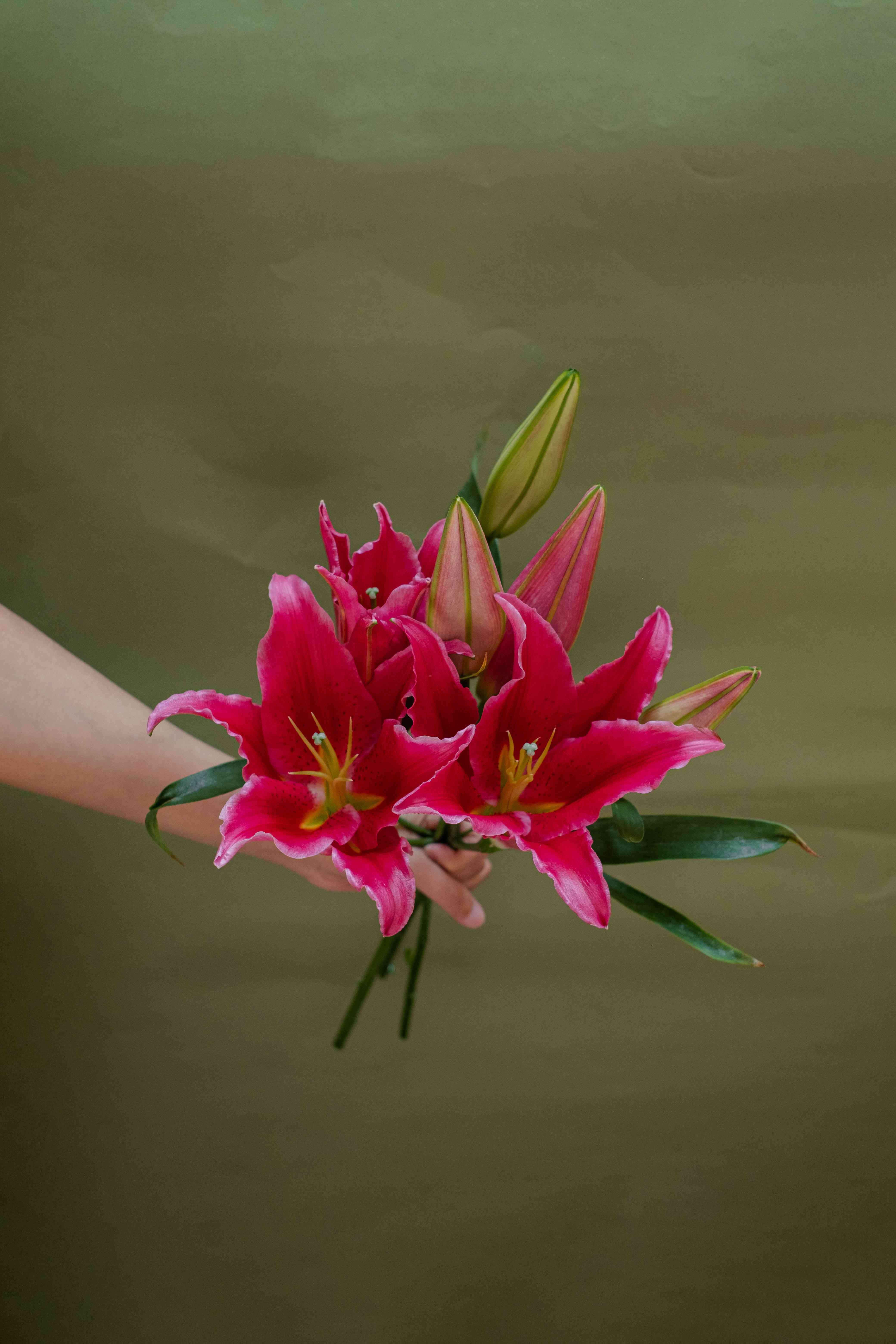 Lily Bunch Red