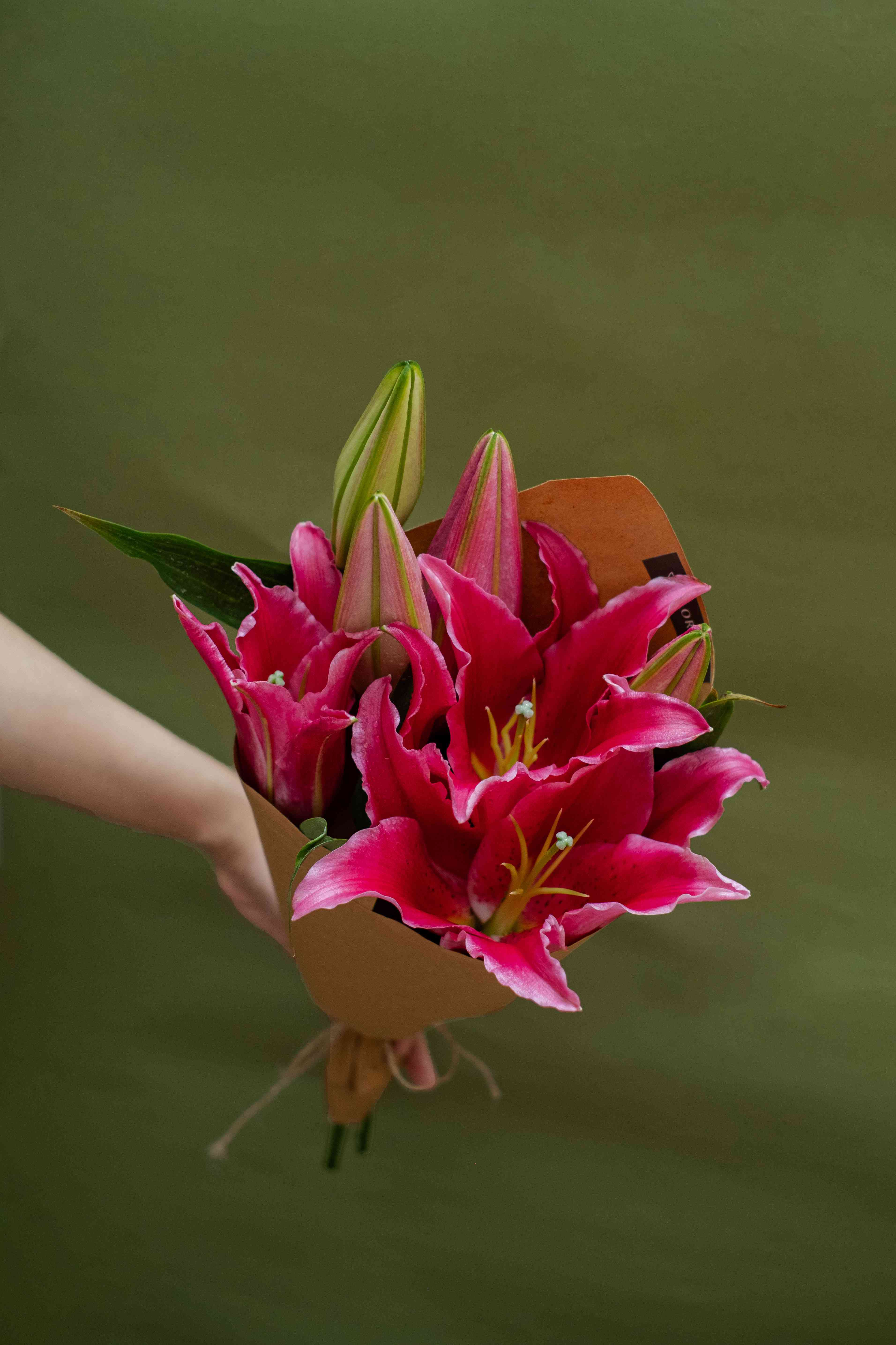 Lily Bunch Red