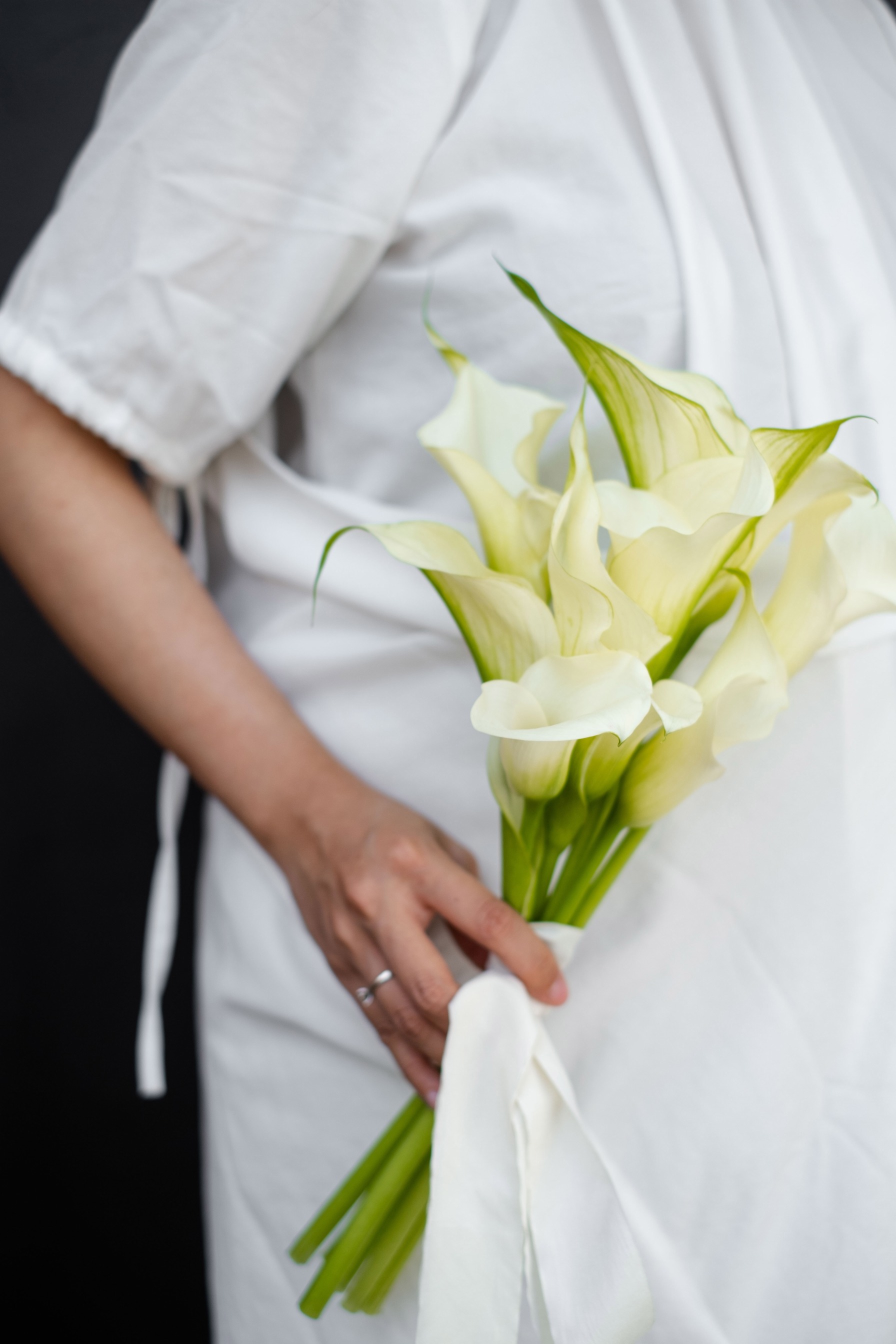 Calla Lily HT Small