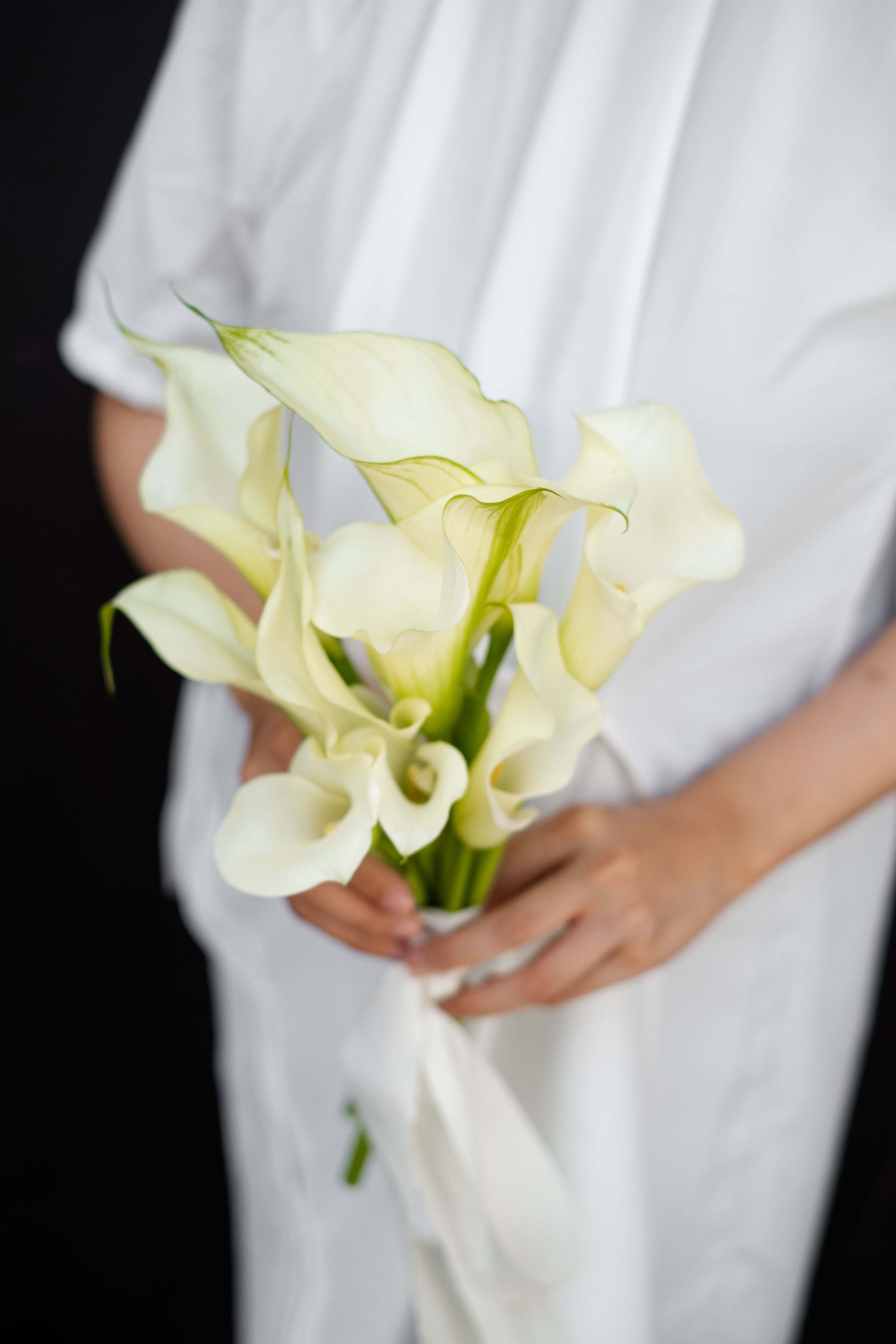 Calla Lily HT Small
