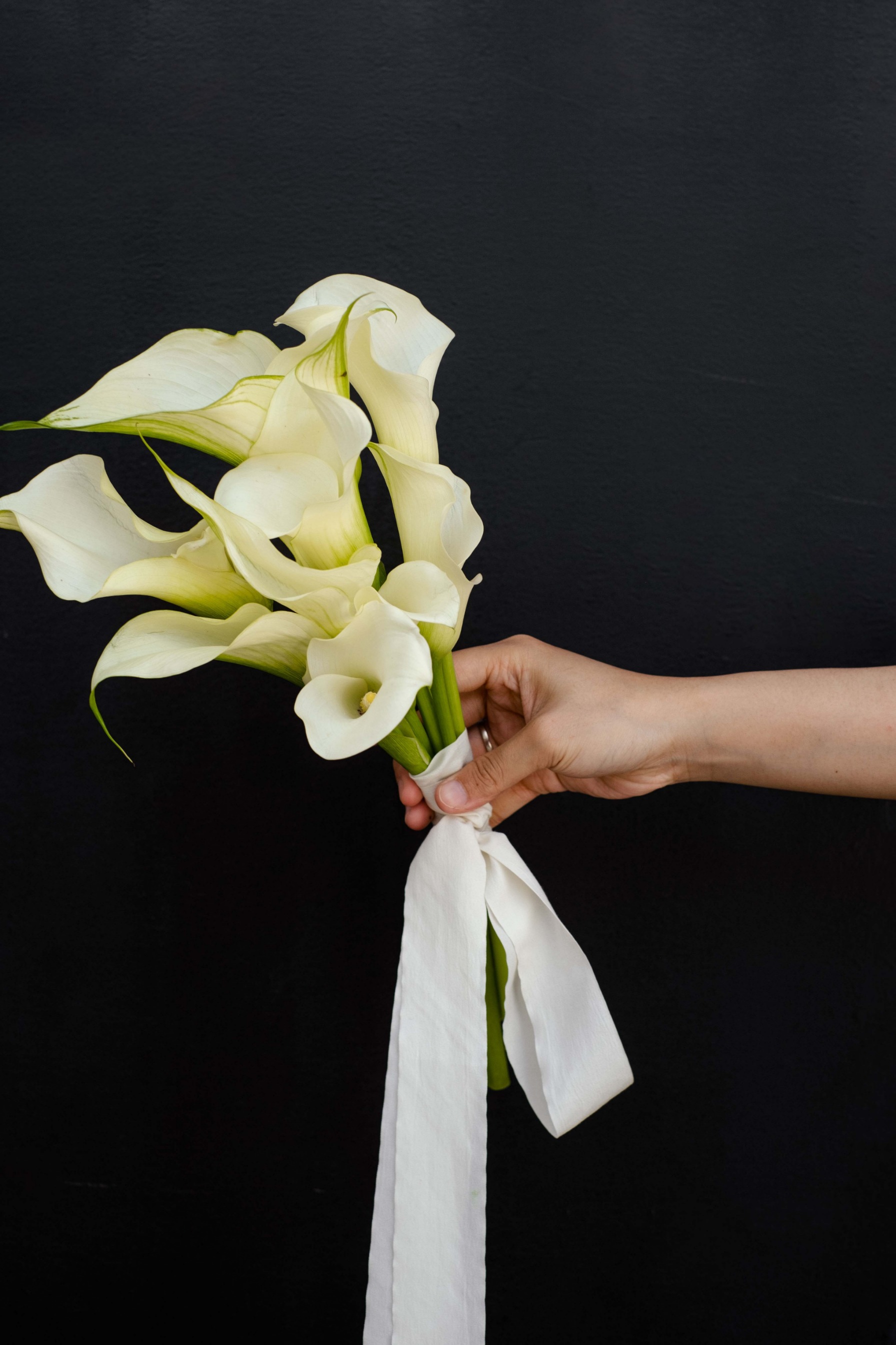 Calla Lily HT Small