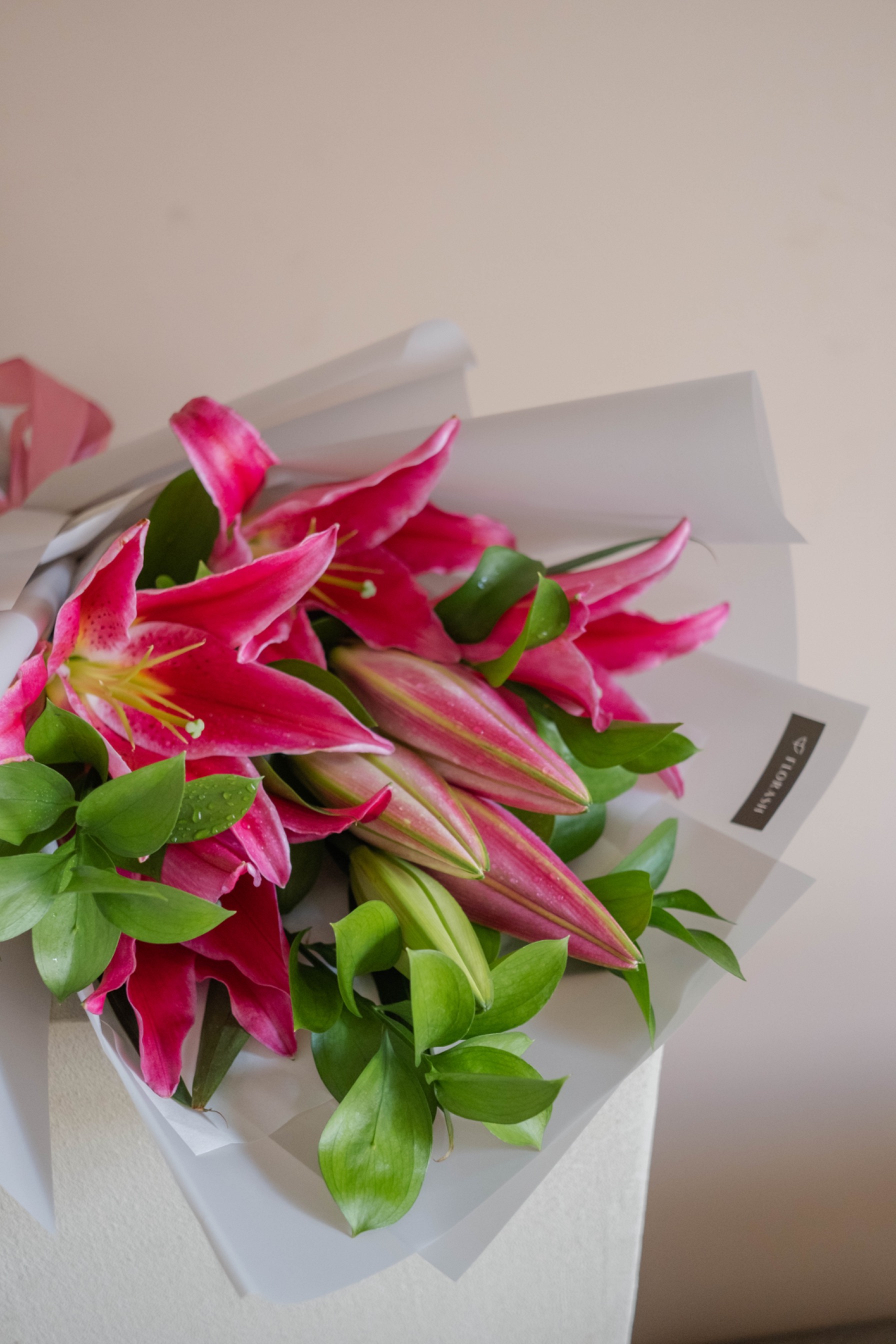 Lily HBK Medium Pink