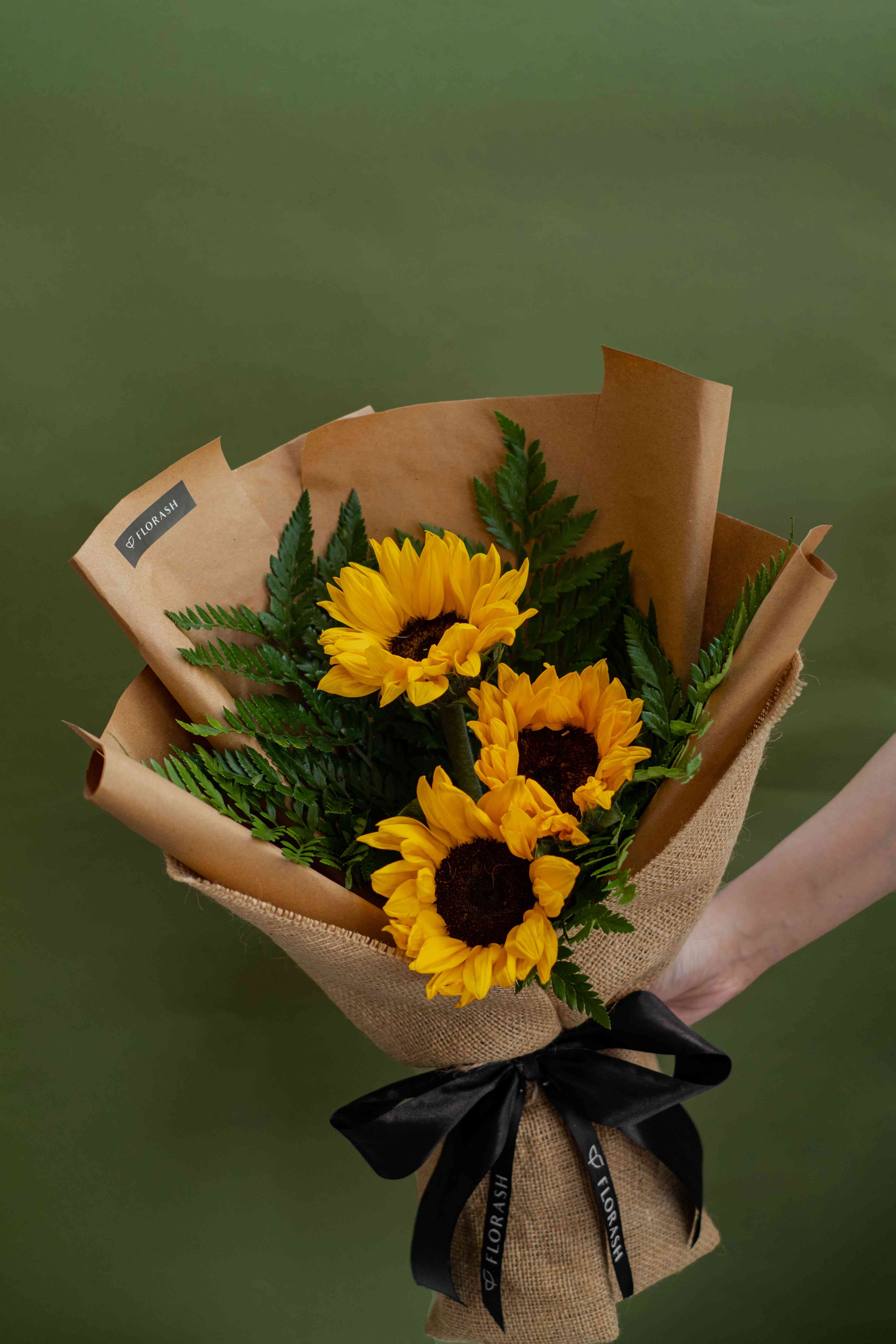 Helianthus HB Medium