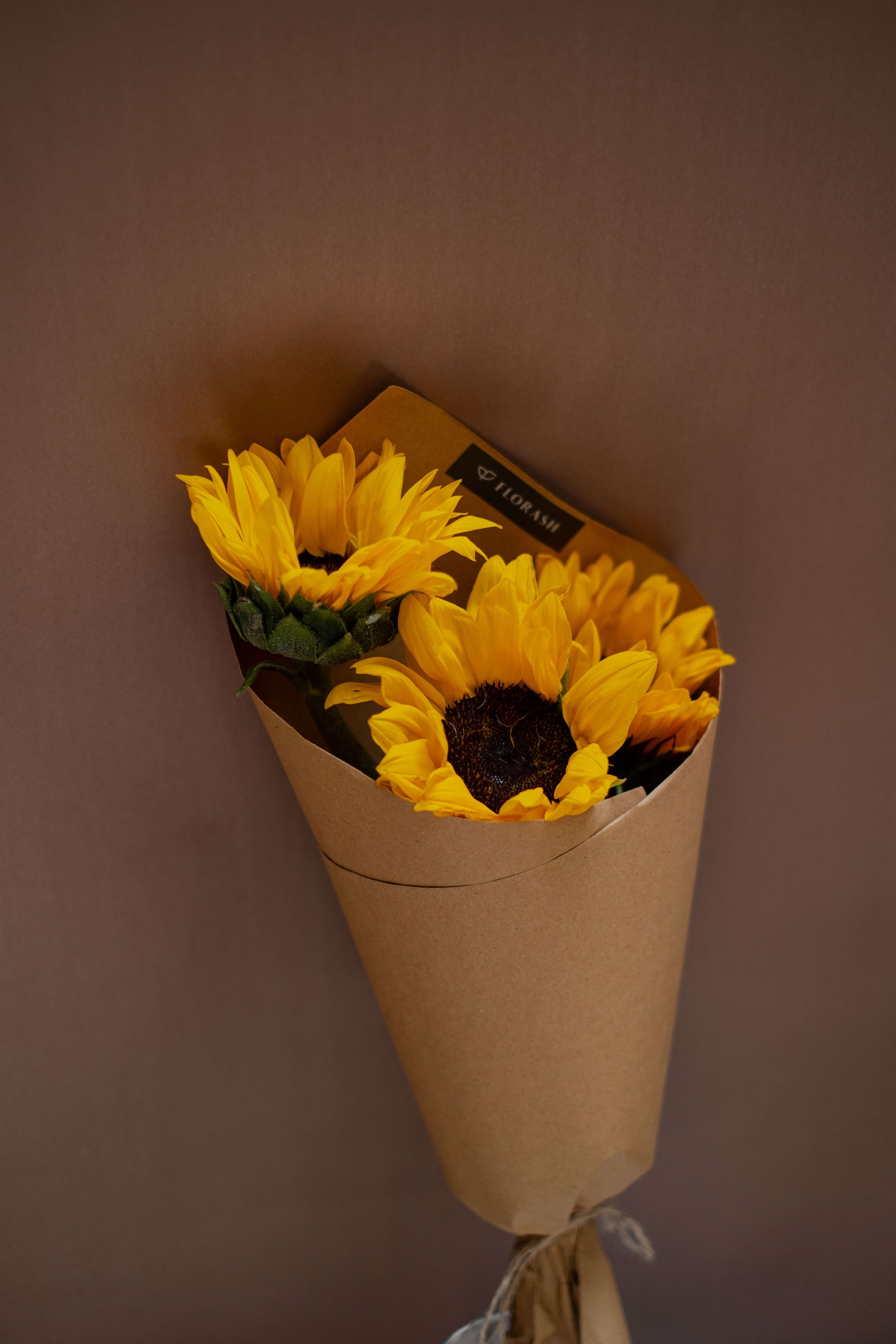 Helianthus Bunch