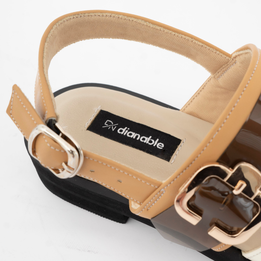 Tera Ankle Strap Shoes - Dianable