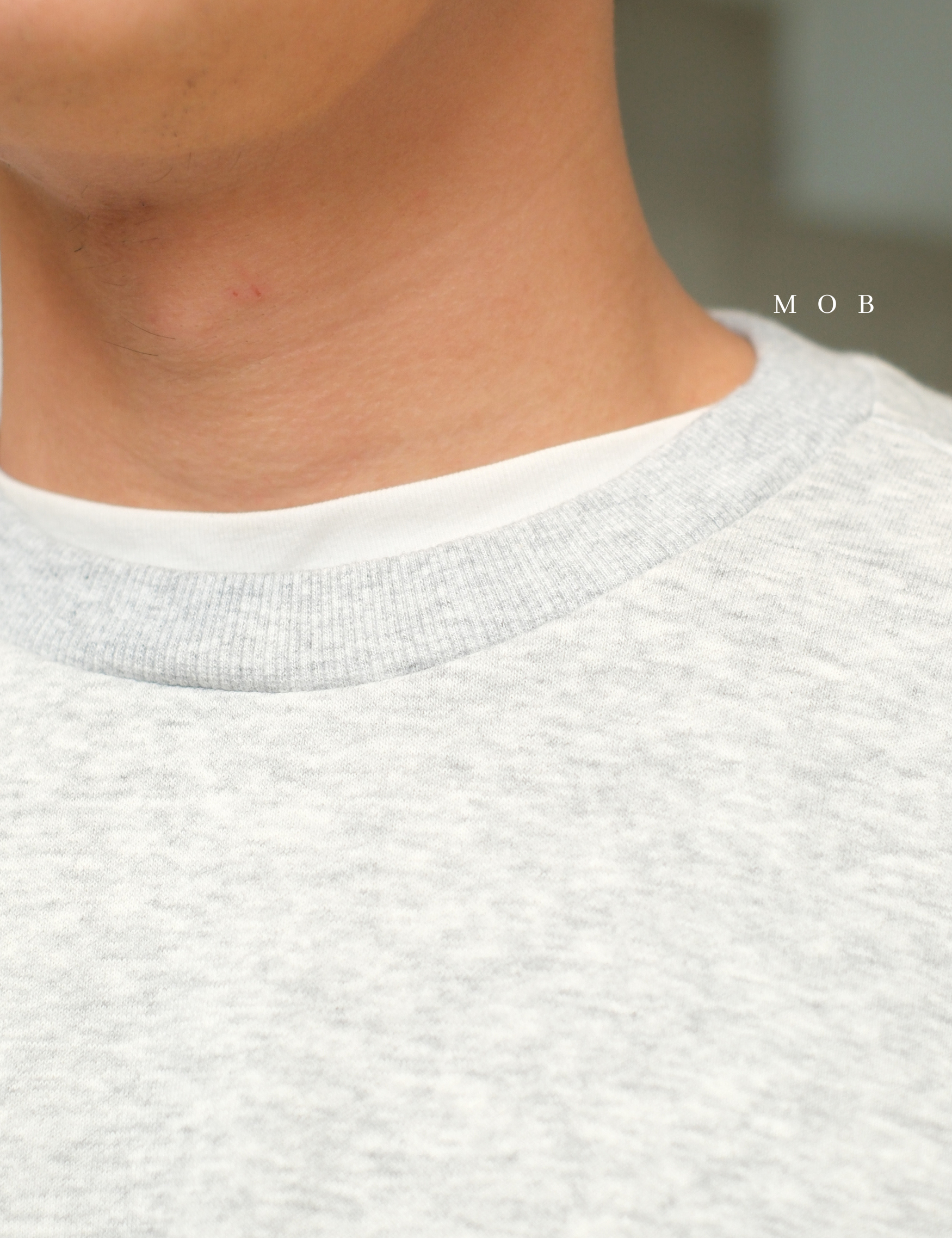 ANDSW01003 Basic SWEATSHIRT Light Grey