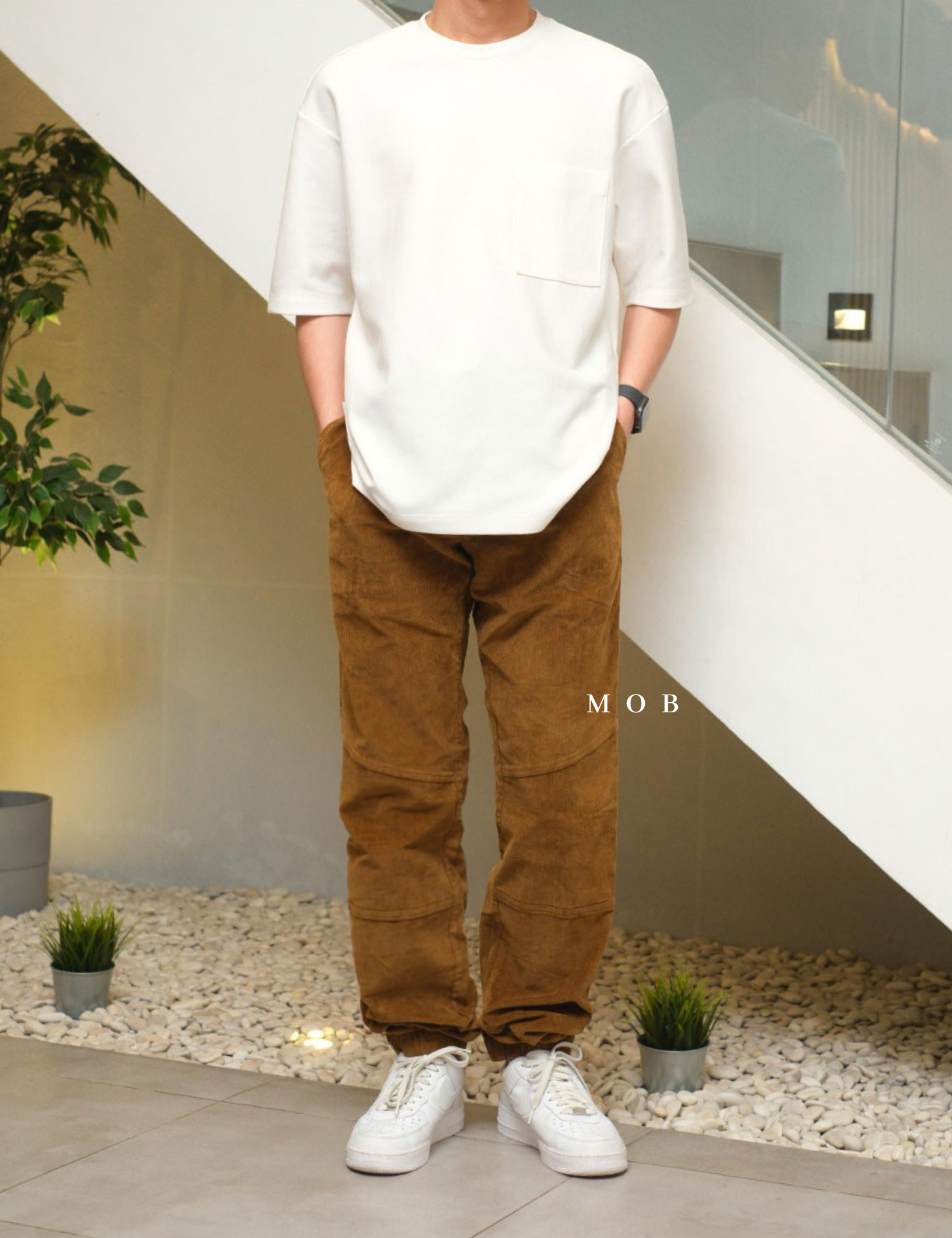 SOJP02001 Regular Corduroy Jogger Pants Brown
