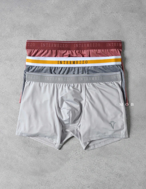 Image of IMZB01014 Classic Essential Trunks Type 14 (L ONLY)