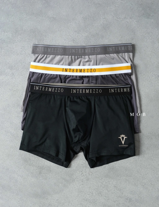 Image of IMZB01015 Classic Essential Trunks Type 15 (M ONLY)