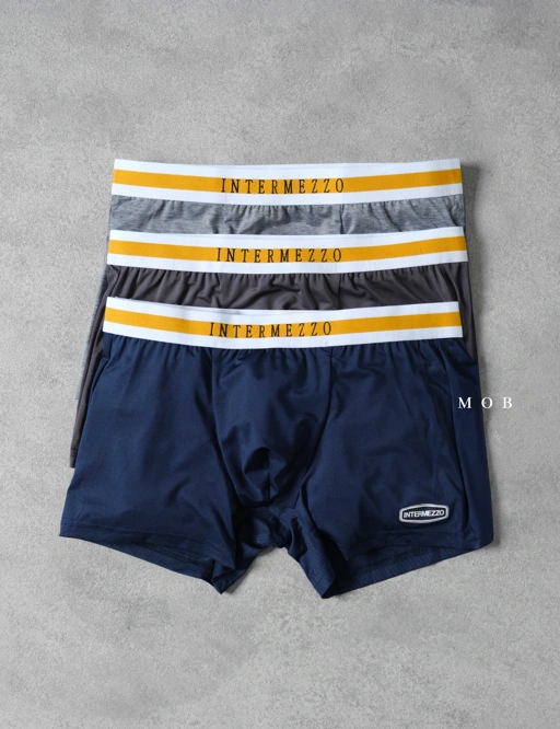 Image of IMZB01017 Classic Essential Trunks Type 17 (S ONLY)