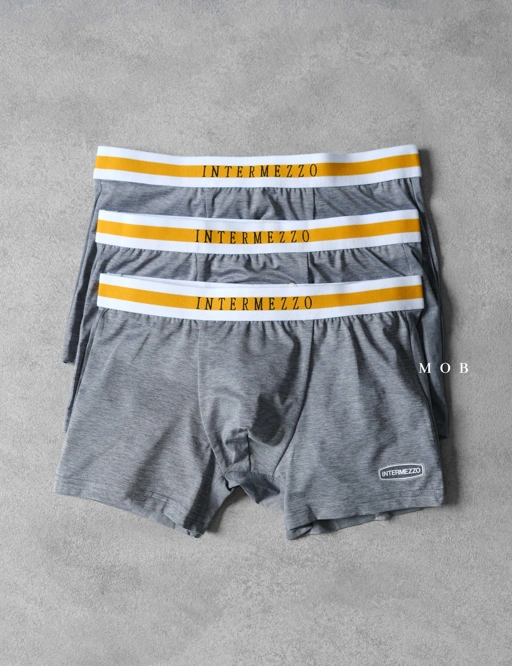 Image of IMZB01018 Classic Essential Trunks Type 18