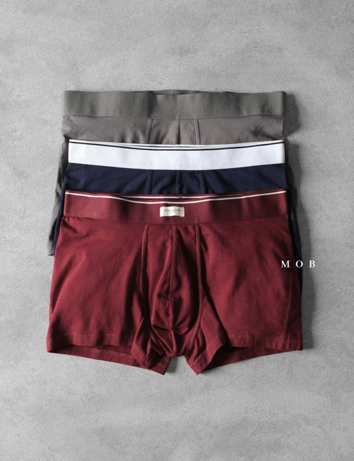 Image of HMB03101 Trunks Type 101