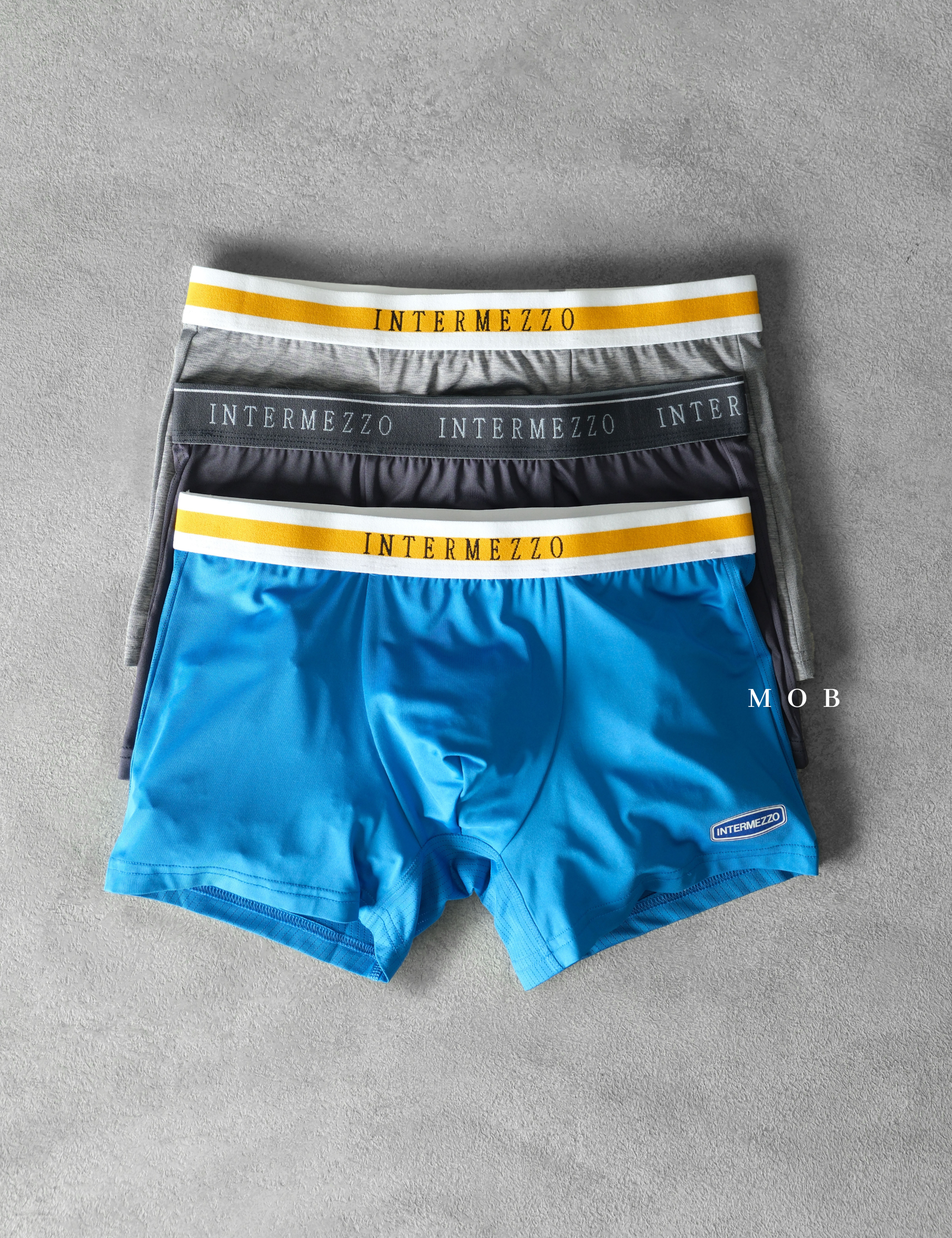 IMZB01002 Classic Essential Trunks Type 2