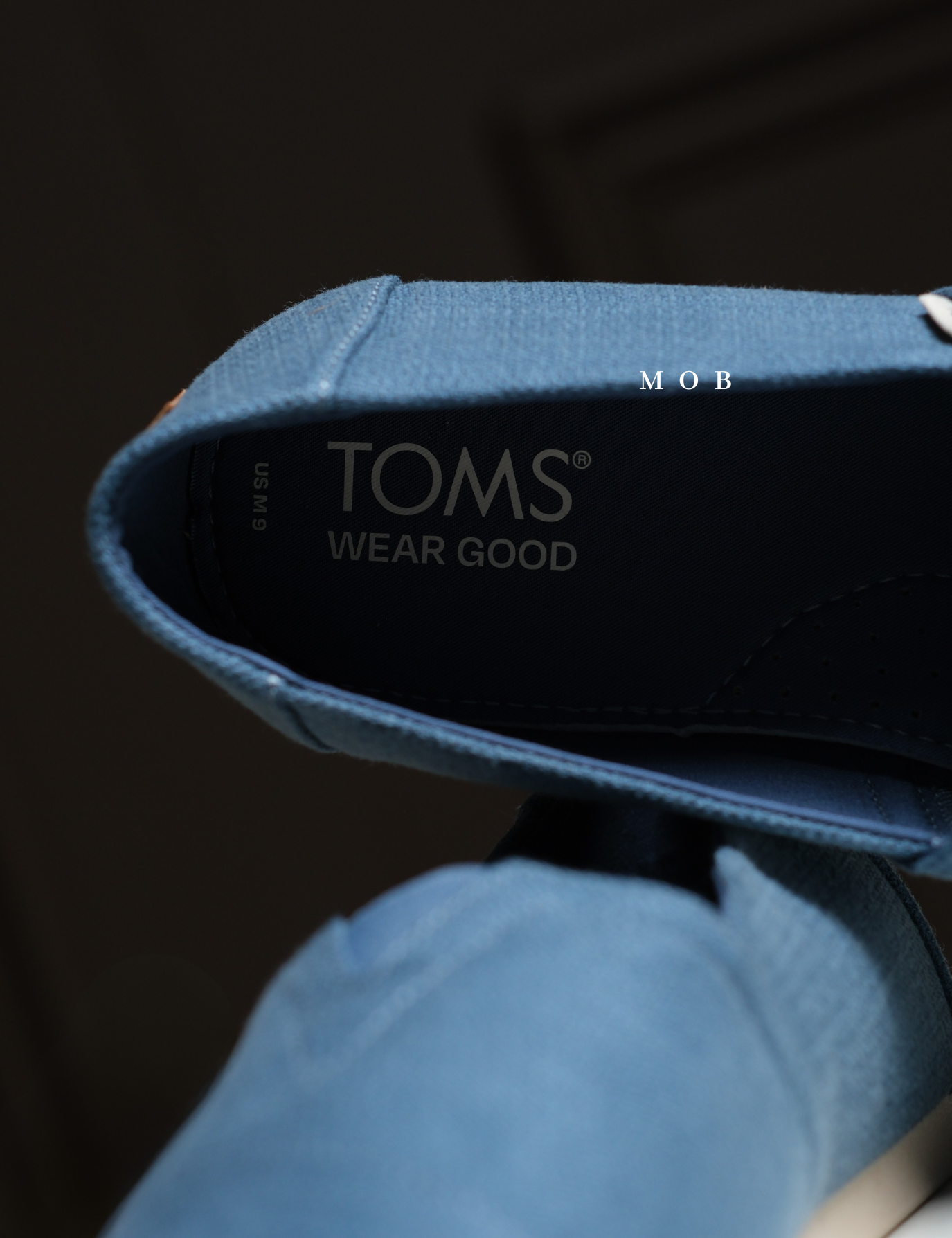 TMSSSH01005A Alpargata Shoes Slate Blue Refibra