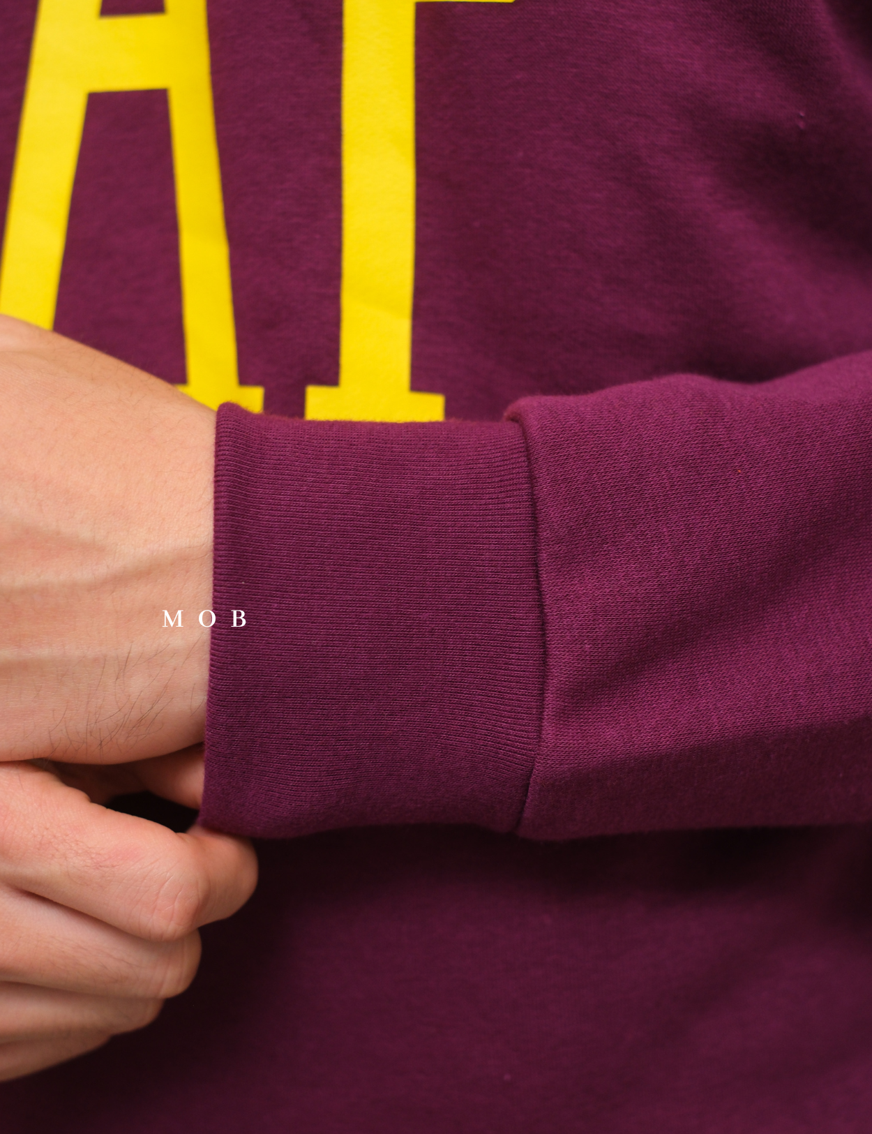 GPSW01002A Big Logo Sweatshirt Purple
