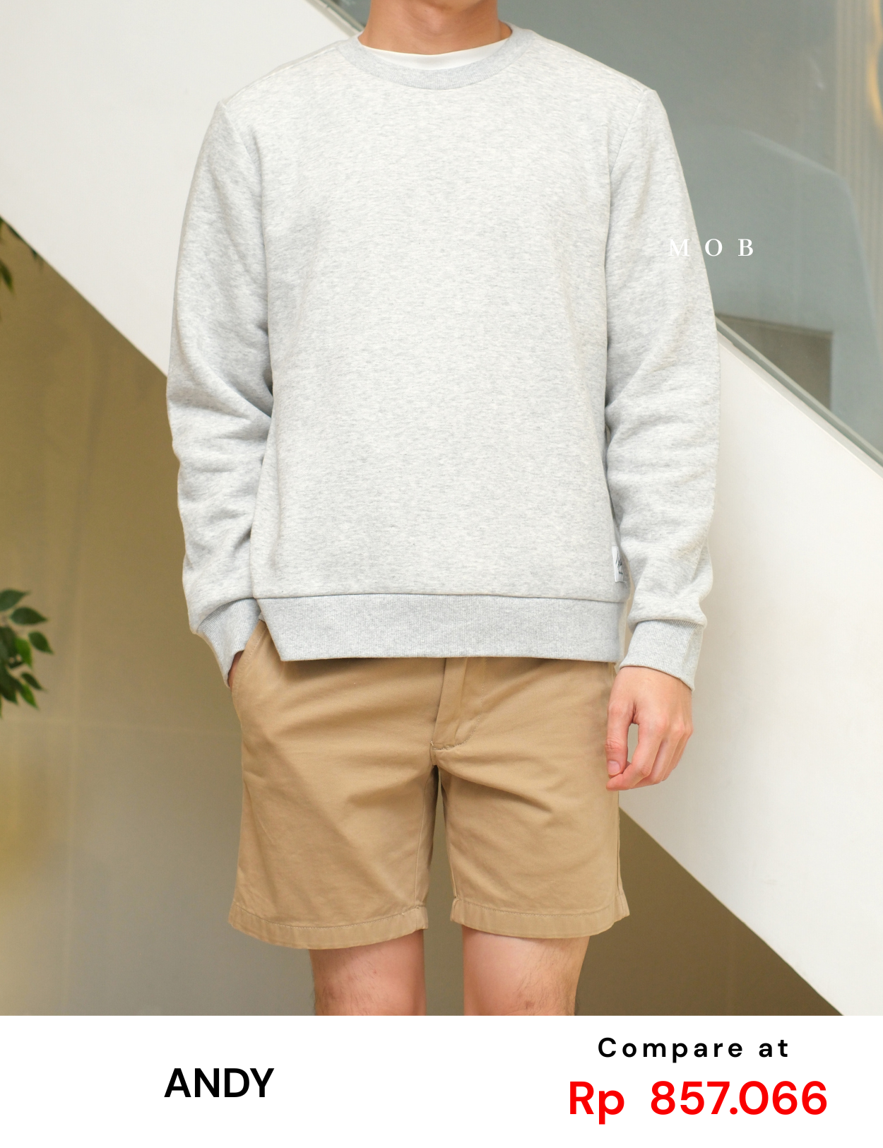 ANDSW01003 Basic SWEATSHIRT Light Grey