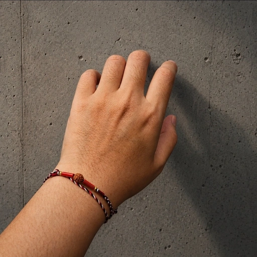 Image of Gelang Eksha Kemurnian Rudraksha Gudo 26.05.011 Semoetketjil