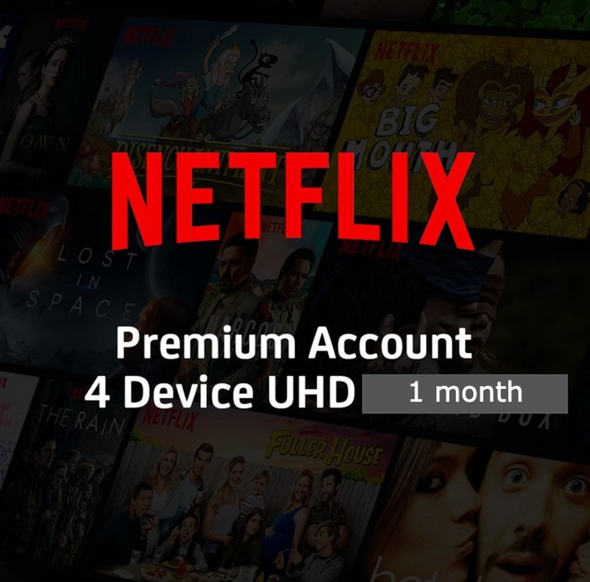 Netflix Premium Private Account 4 Device for 1 Month