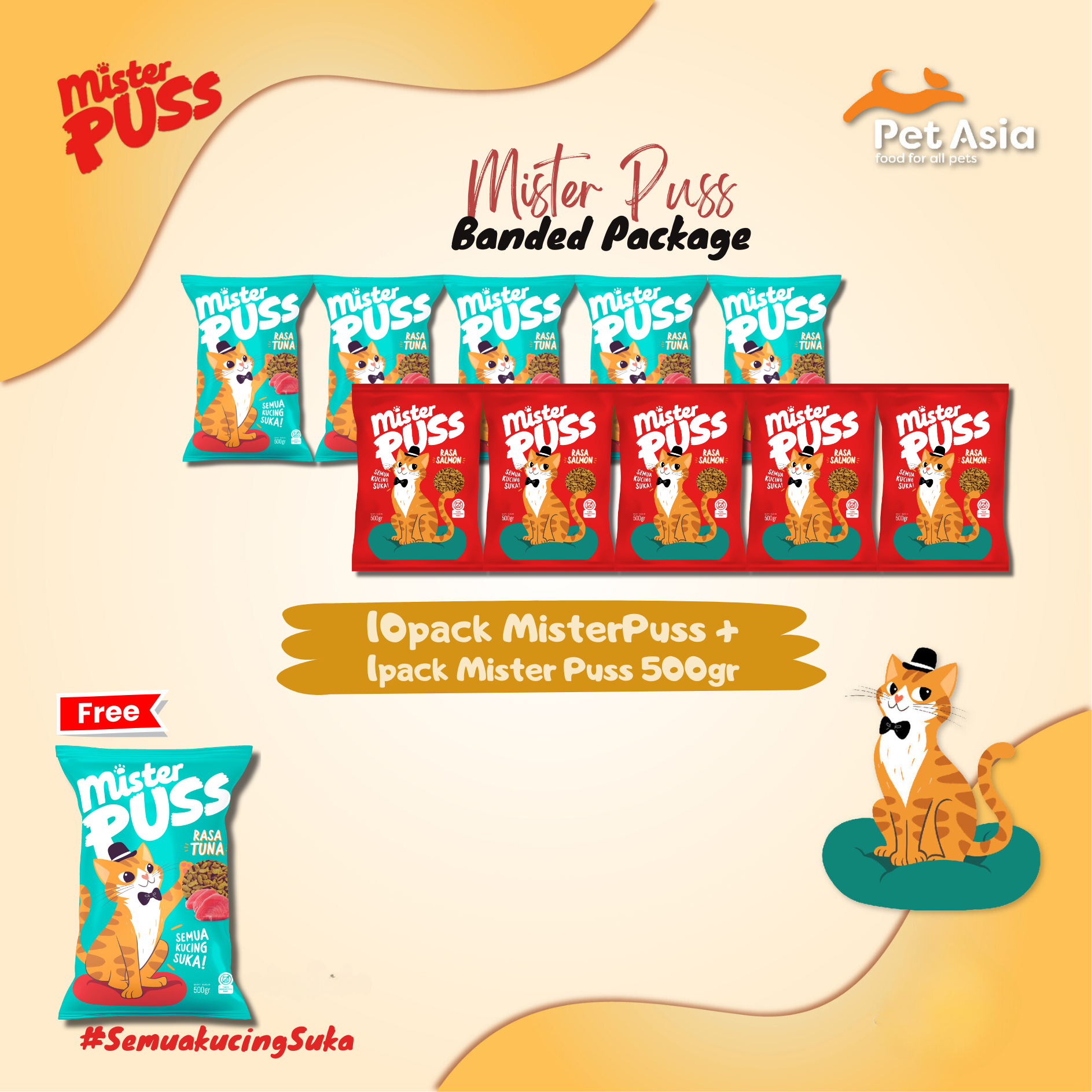 10 Pack + 1 Pack Mister Puss 500 gr Salmon / Tuna (Banded Package)