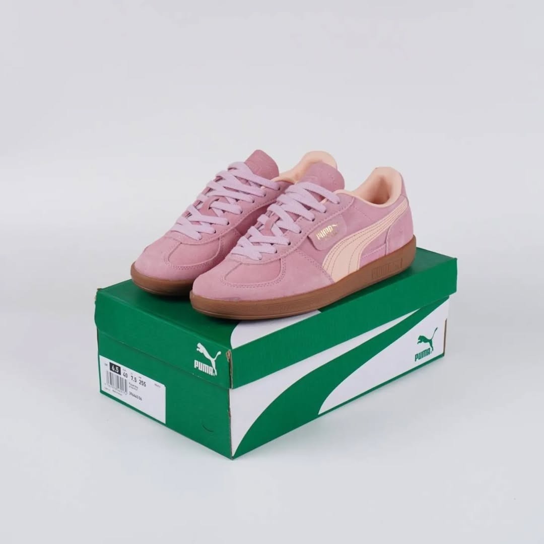 PUMA PALERMO "GRAPE MIST"