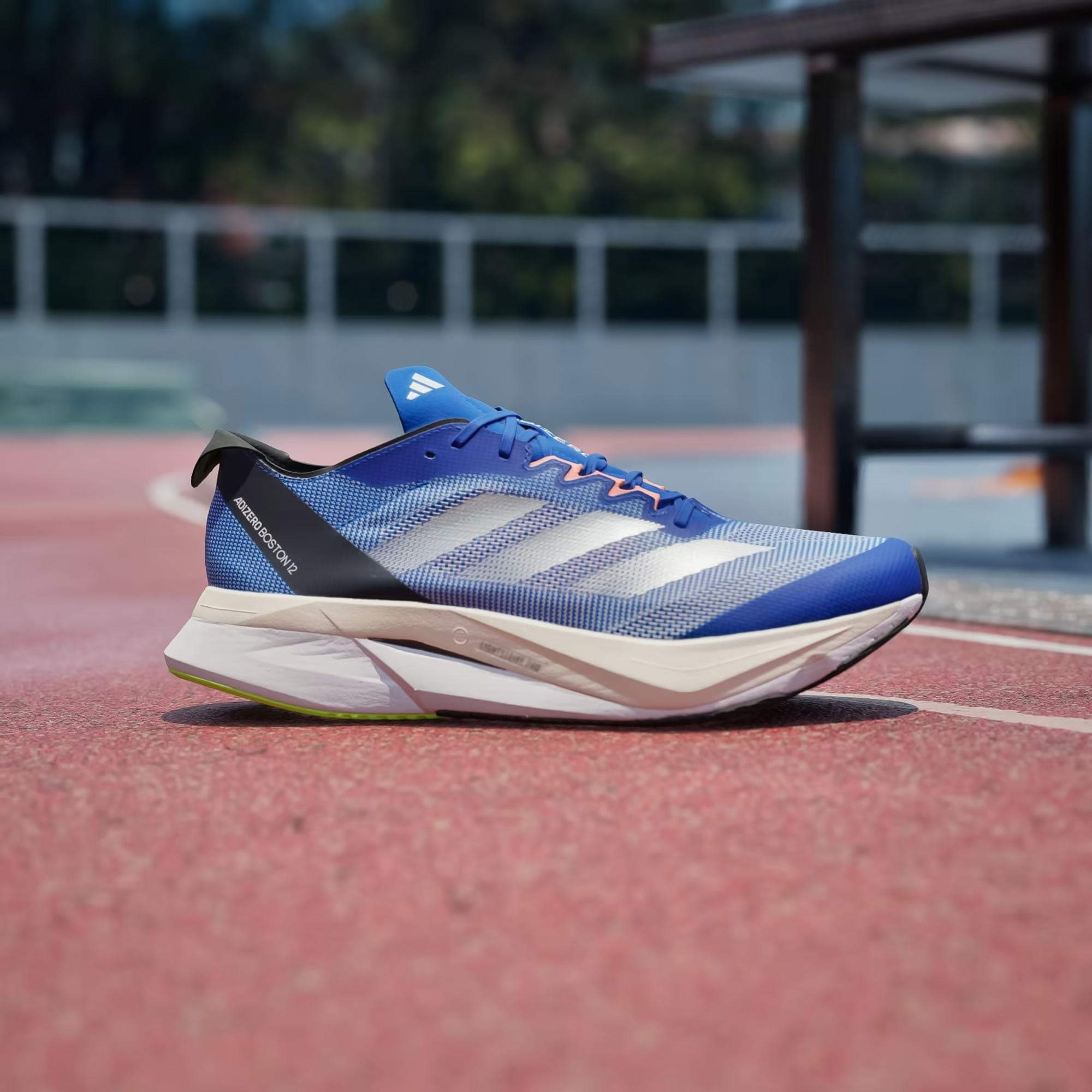 ADIDAS ADIZERO BOSTON 12 - ROYAL BLUE