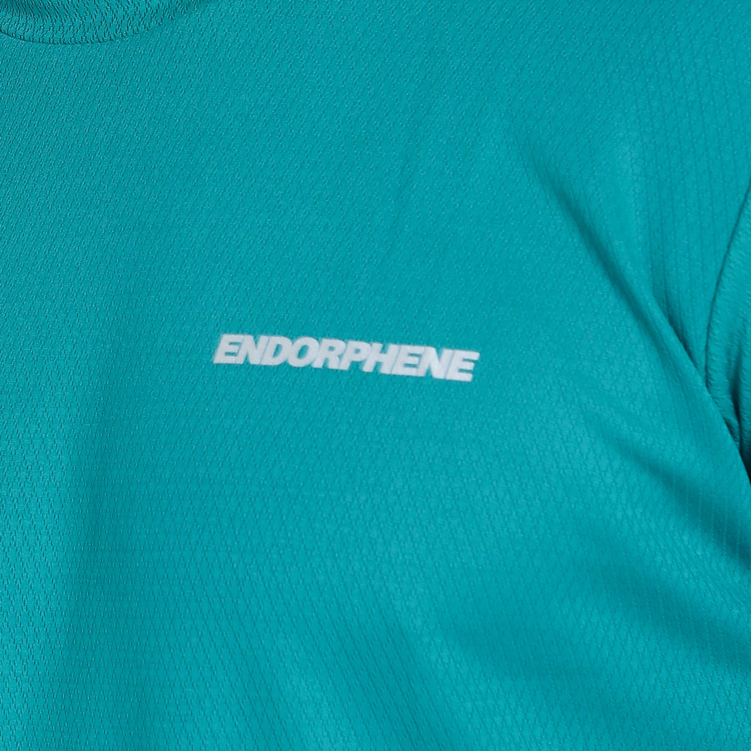 Endorphene DASH Jersey - Arctic