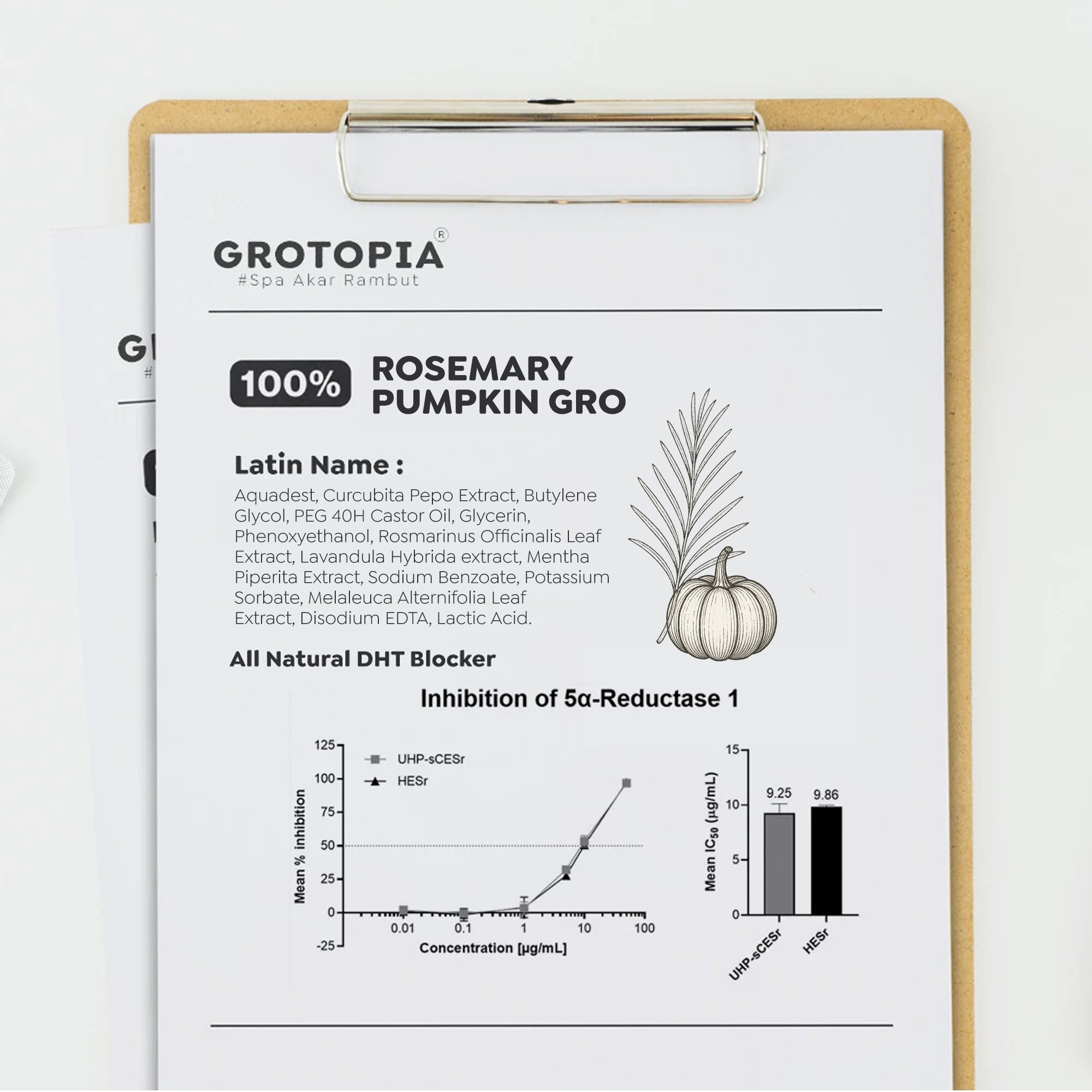 Grotopia 100ml Gro Hair Tonic Rosemary Pumpkin Seed 100ml Natural Akar Rambut Growth Anti Rontok