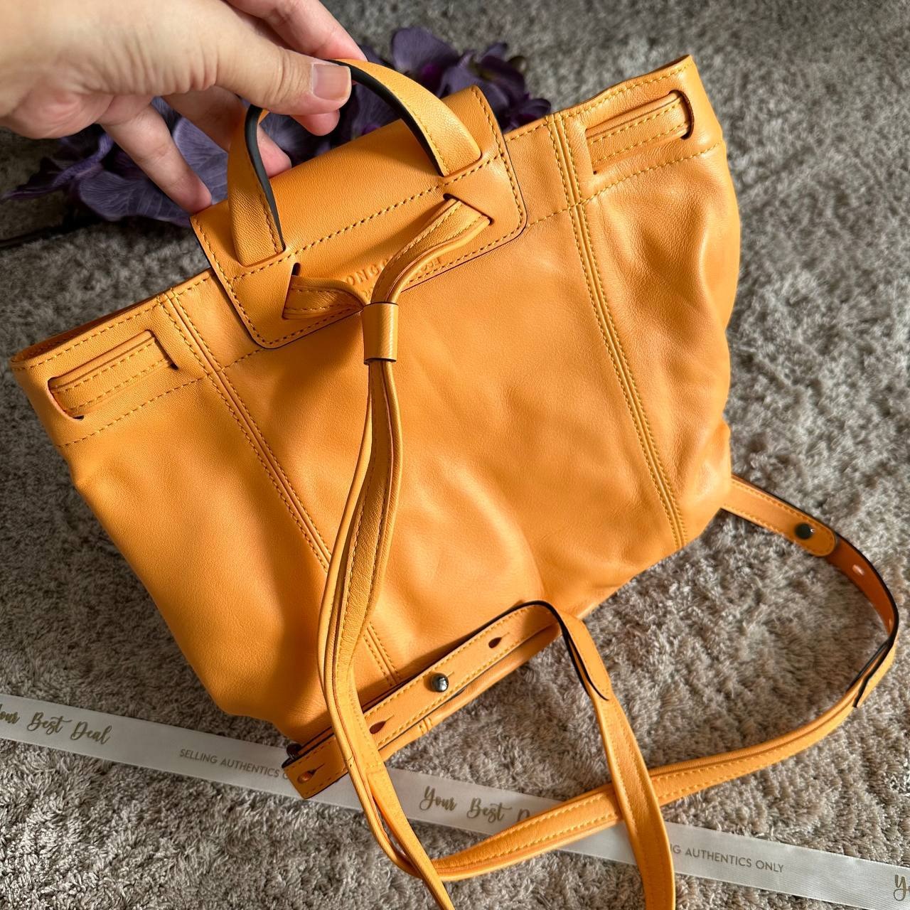 Long Champ XS Backpack Le Pliage Cuir